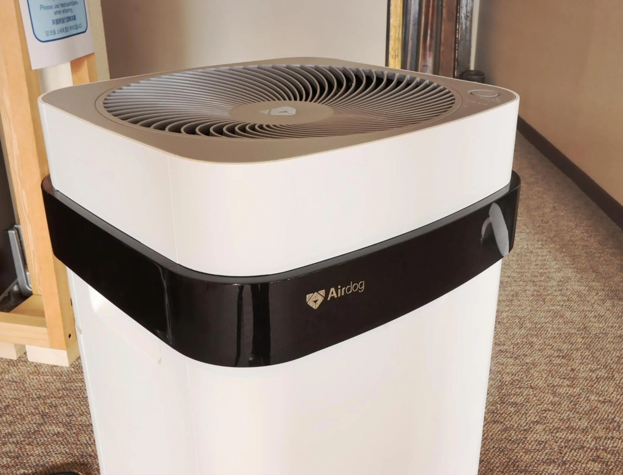 Decorative detail in Hotel Cerulean Alpine