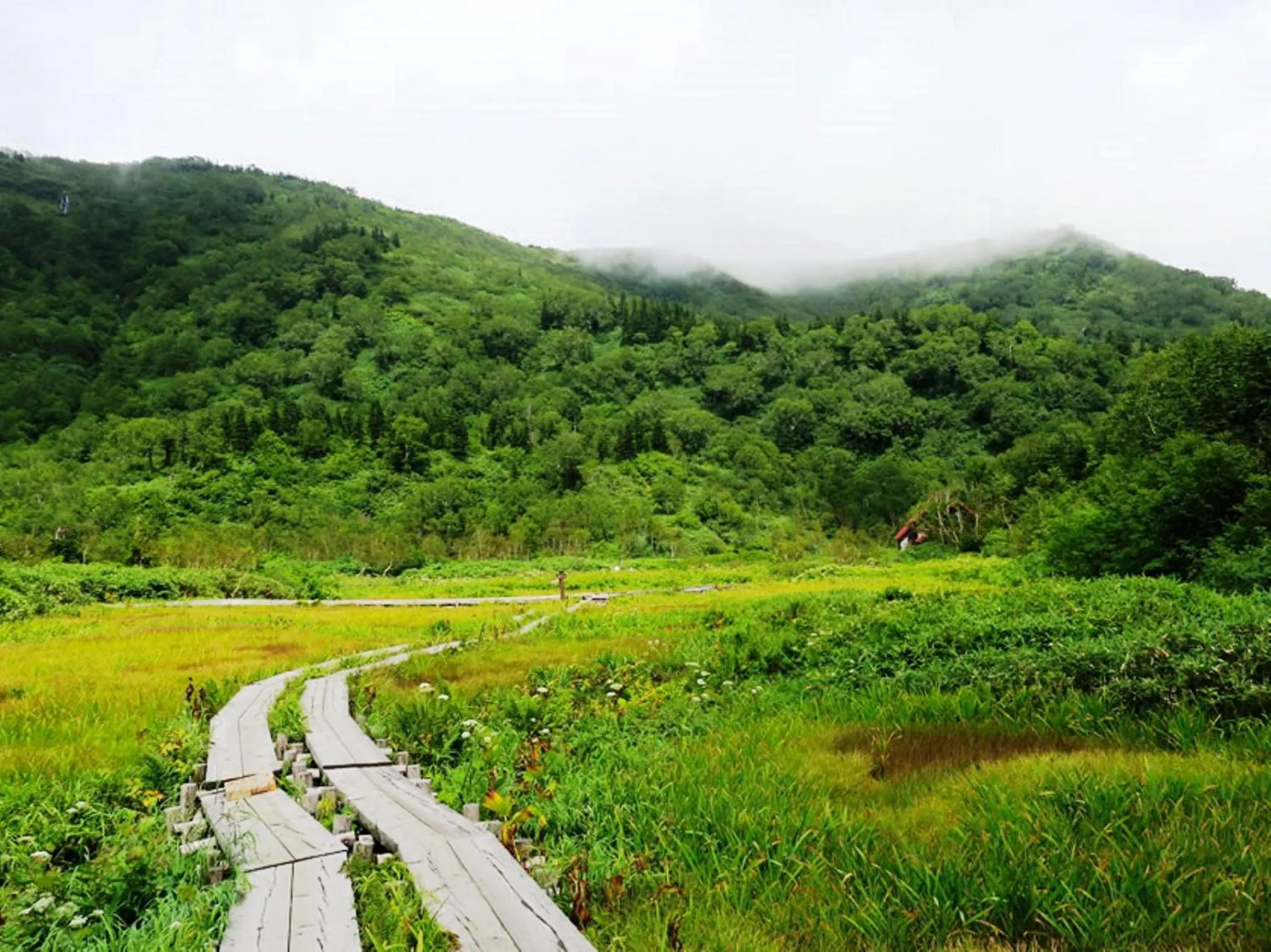 Natural landscape in Hotel Cerulean Alpine