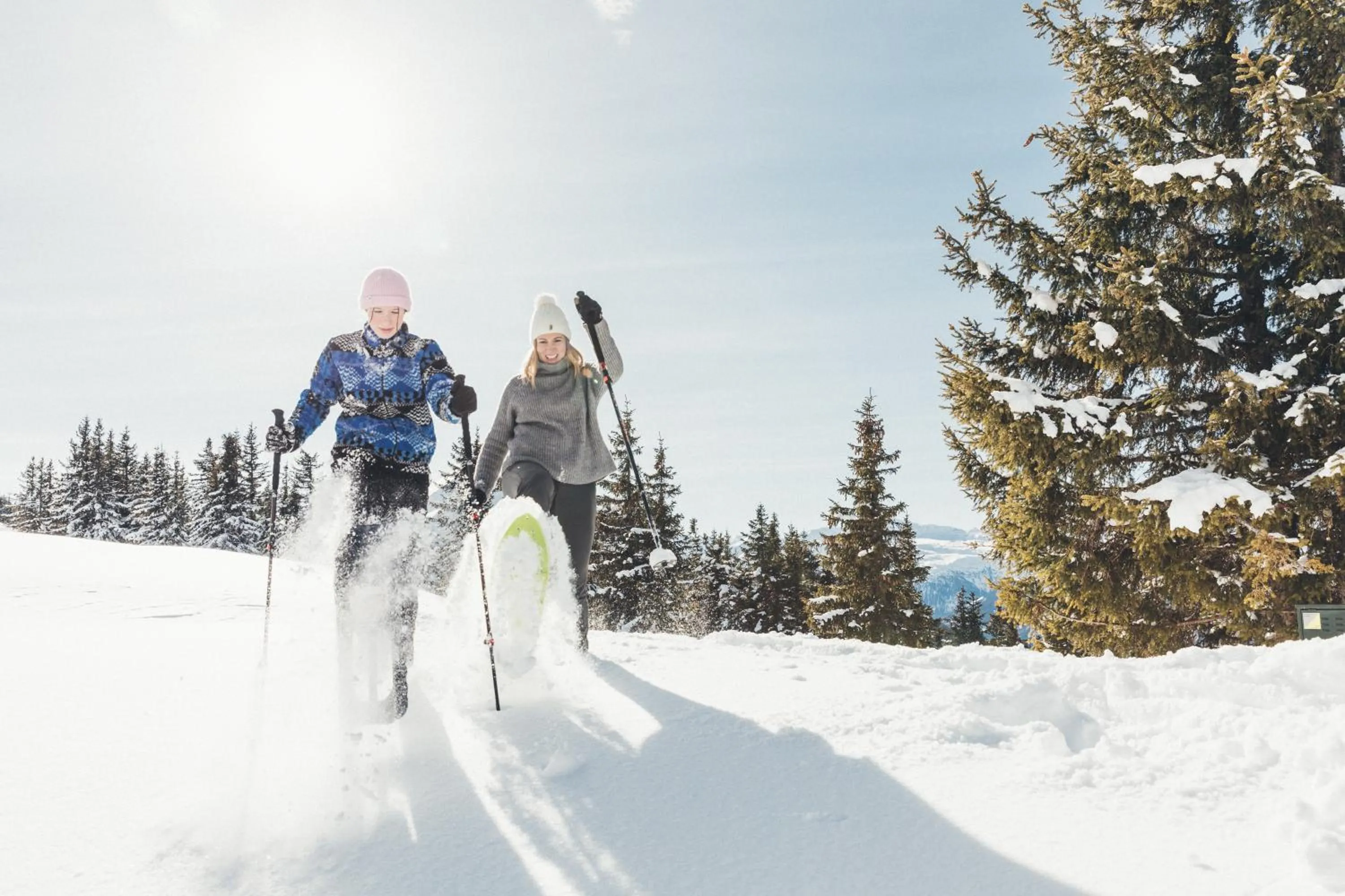 Winter in Hotel Nesslerhof
