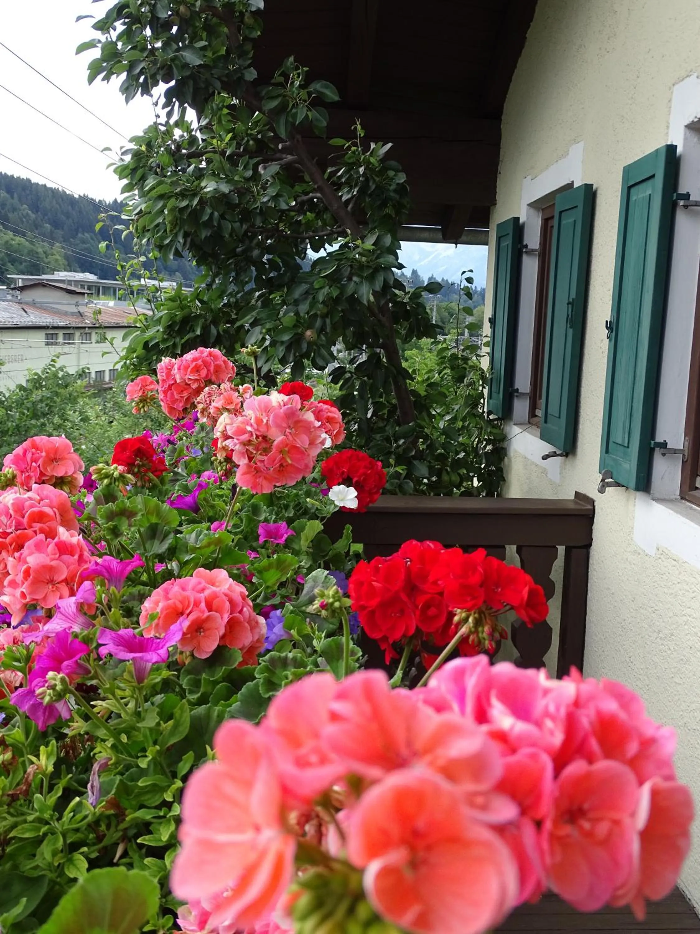 Balcony/Terrace in Pension Rainhof