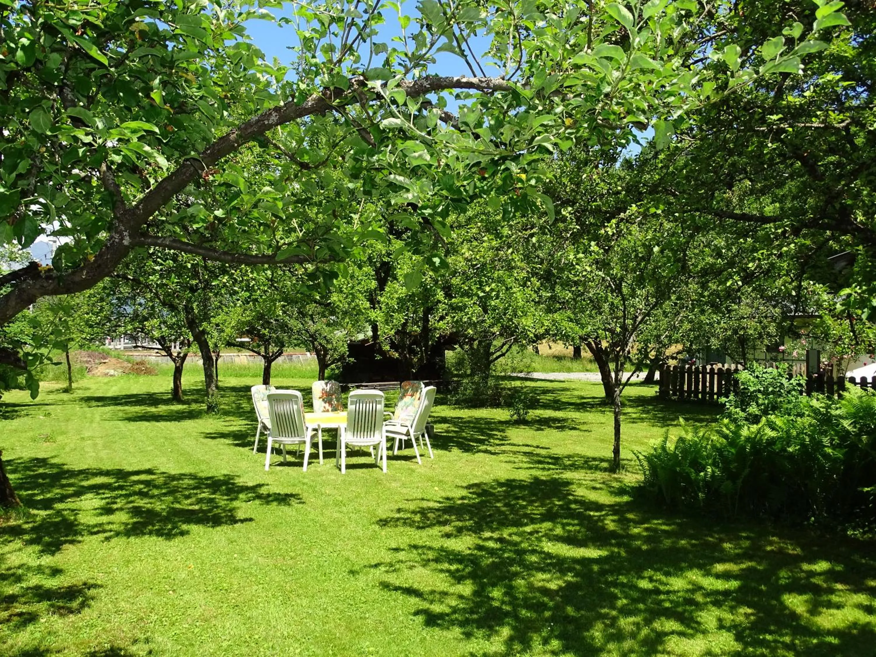 Area and facilities in Pension Rainhof