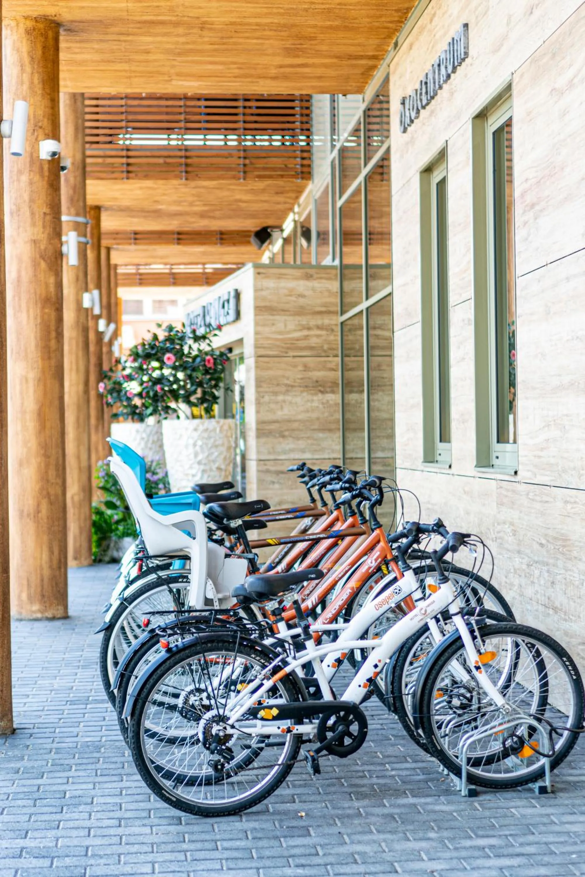 Cycling in Pangea Hotel