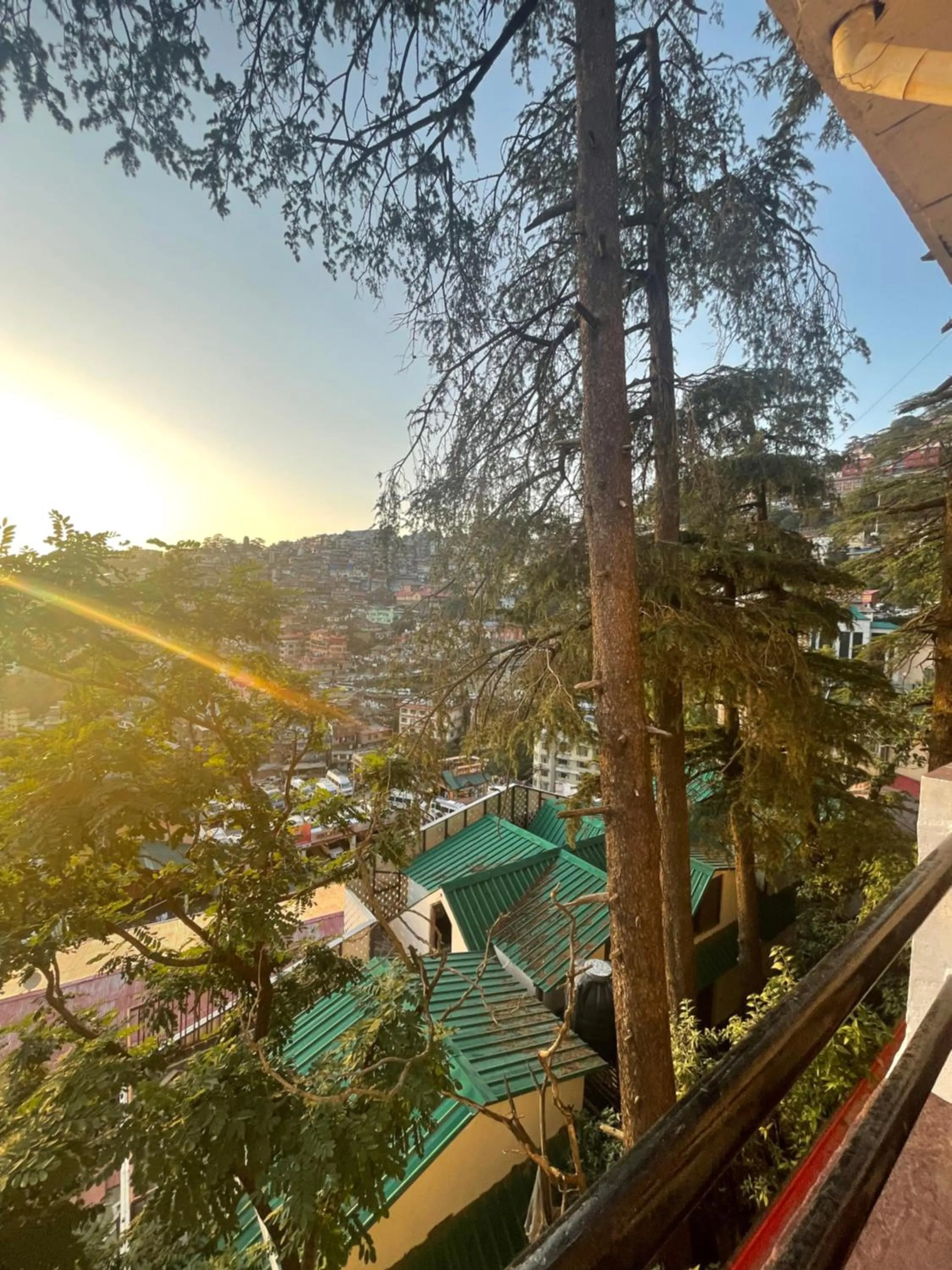 Balcony/Terrace in Hotel Willow Banks Shimla