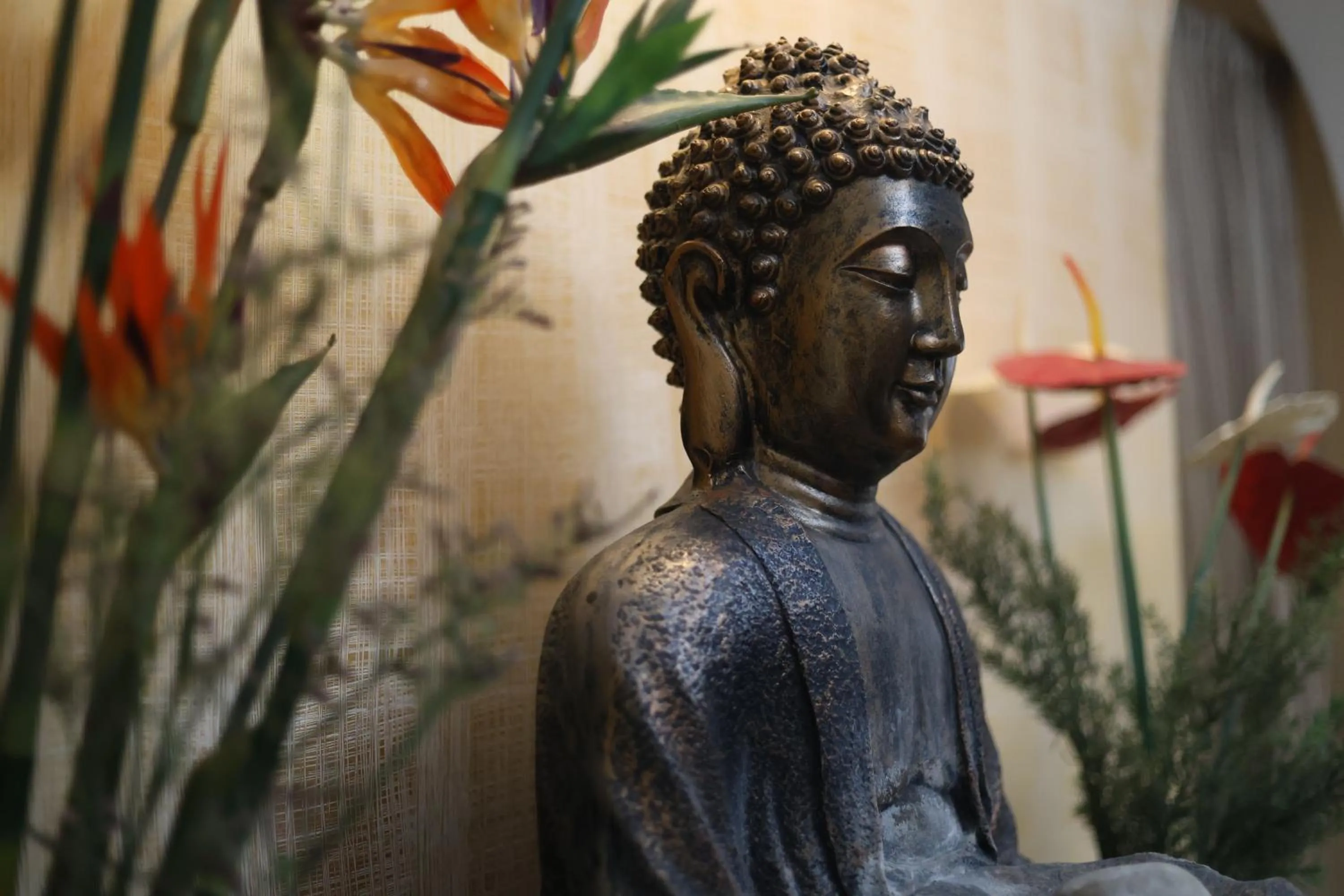 Spa and wellness centre/facilities in Hotel Willow Banks Shimla