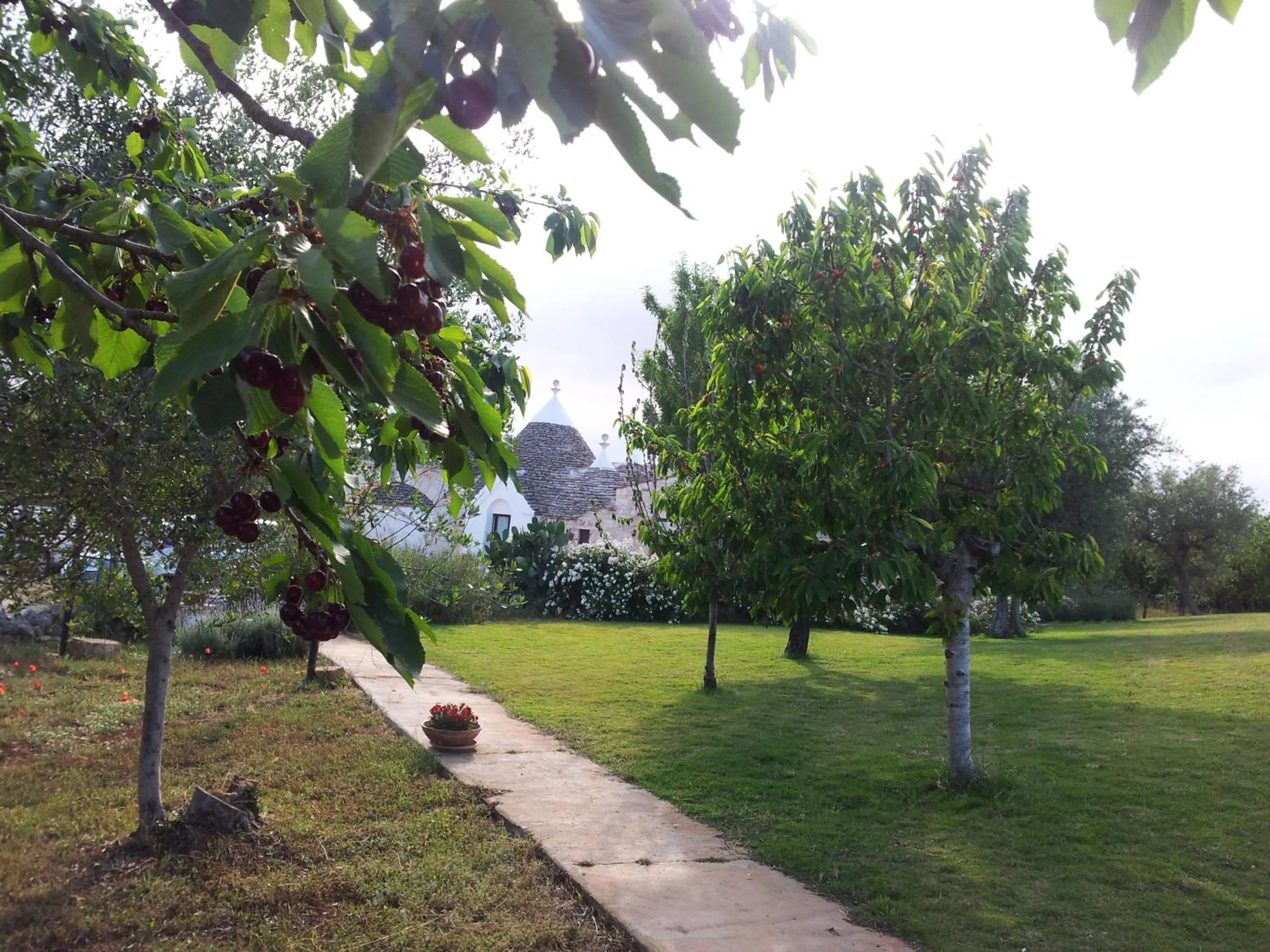 Garden in Fontana Vecchia B&B