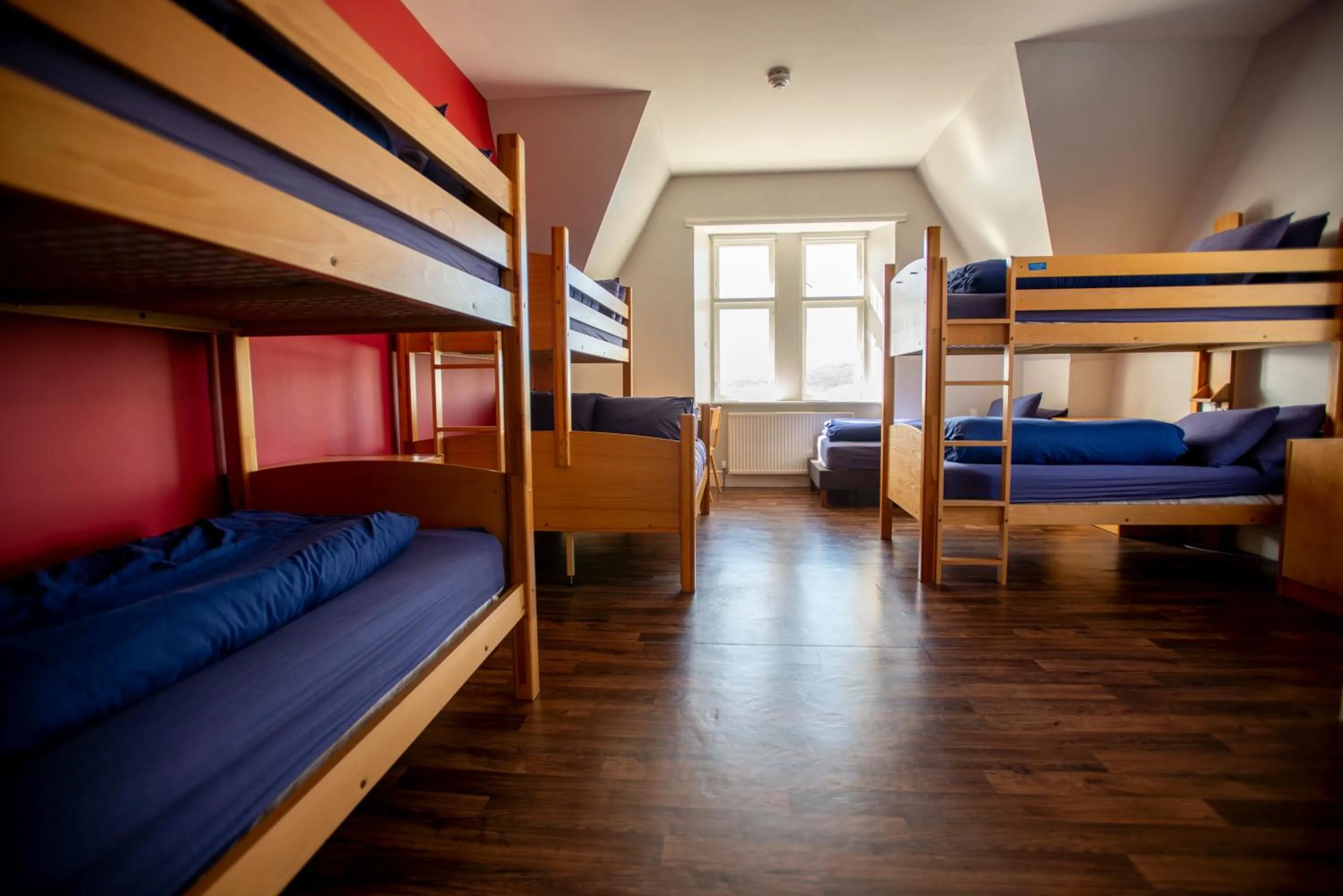 Bunk Bed in Male Dormitory Room  in Oban Youth Hostel
