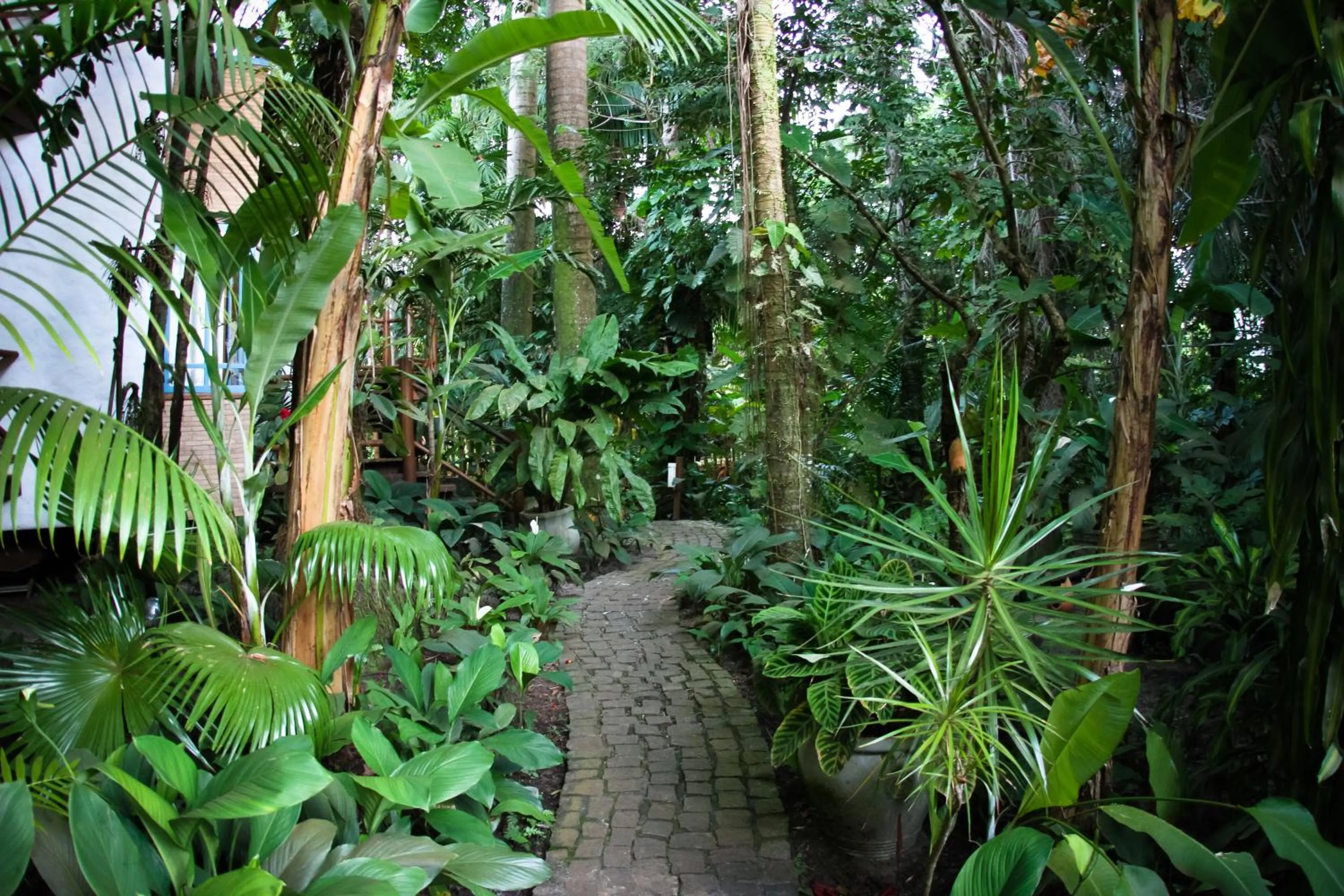 Garden in Pousada Burundanga