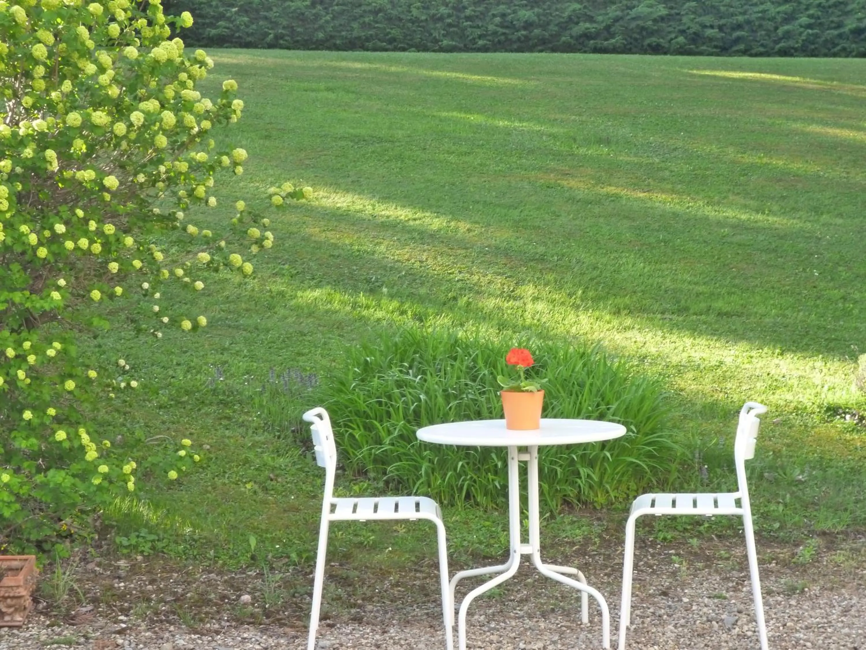 Garden in Hôtel Vulcain