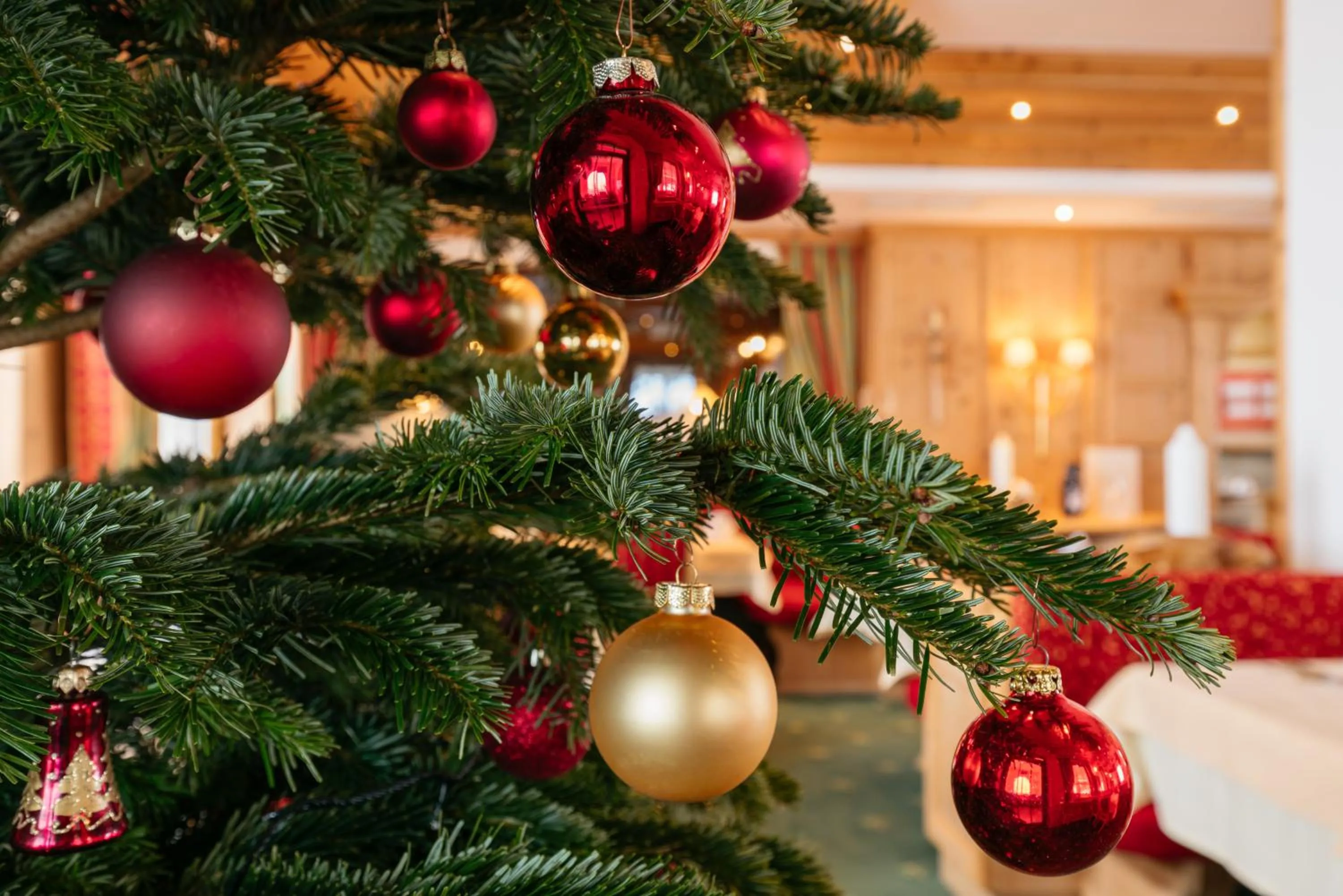 Evening entertainment in Hotel Venter Bergwelt