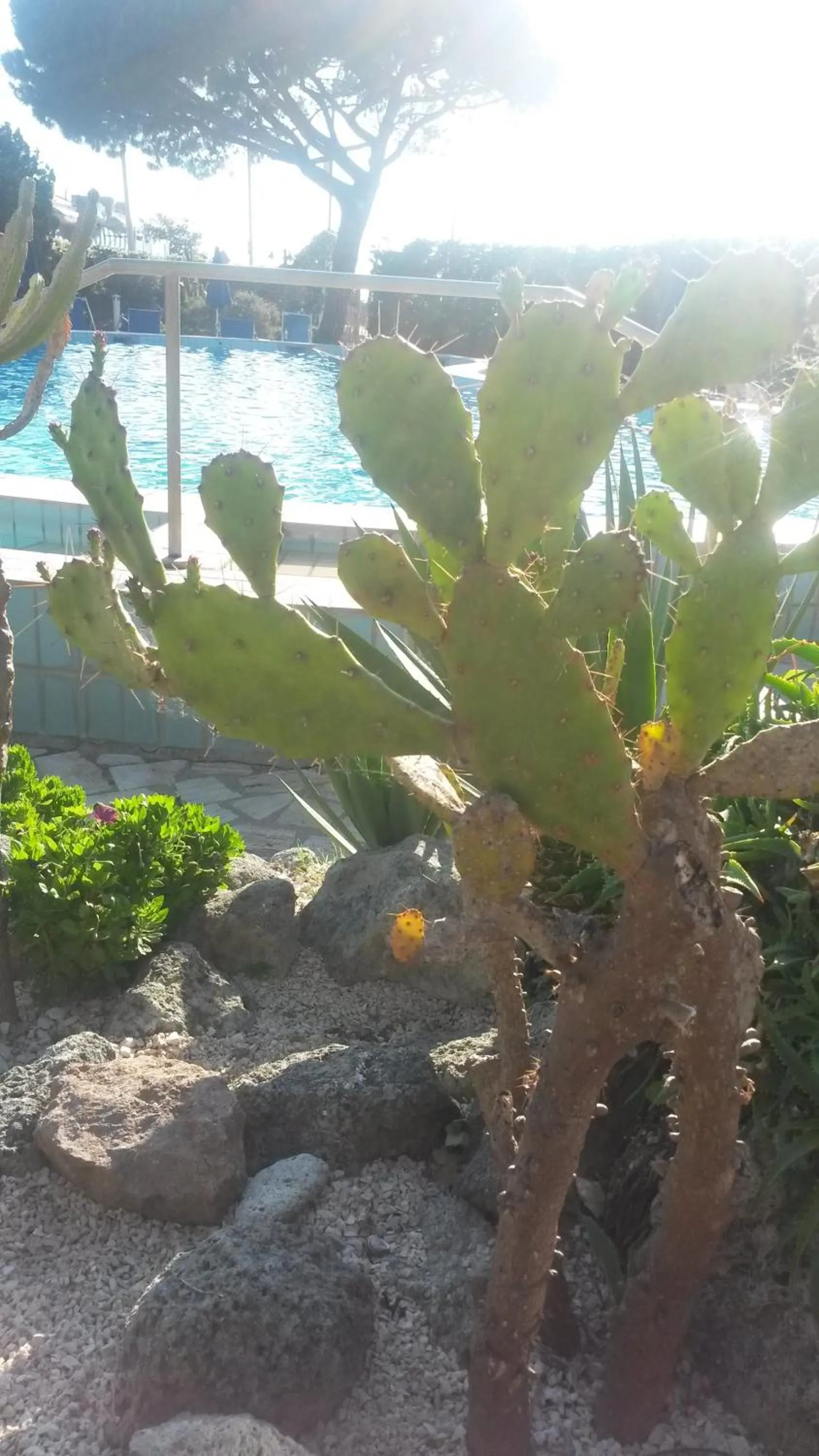 Day in Hotel Costa Citara