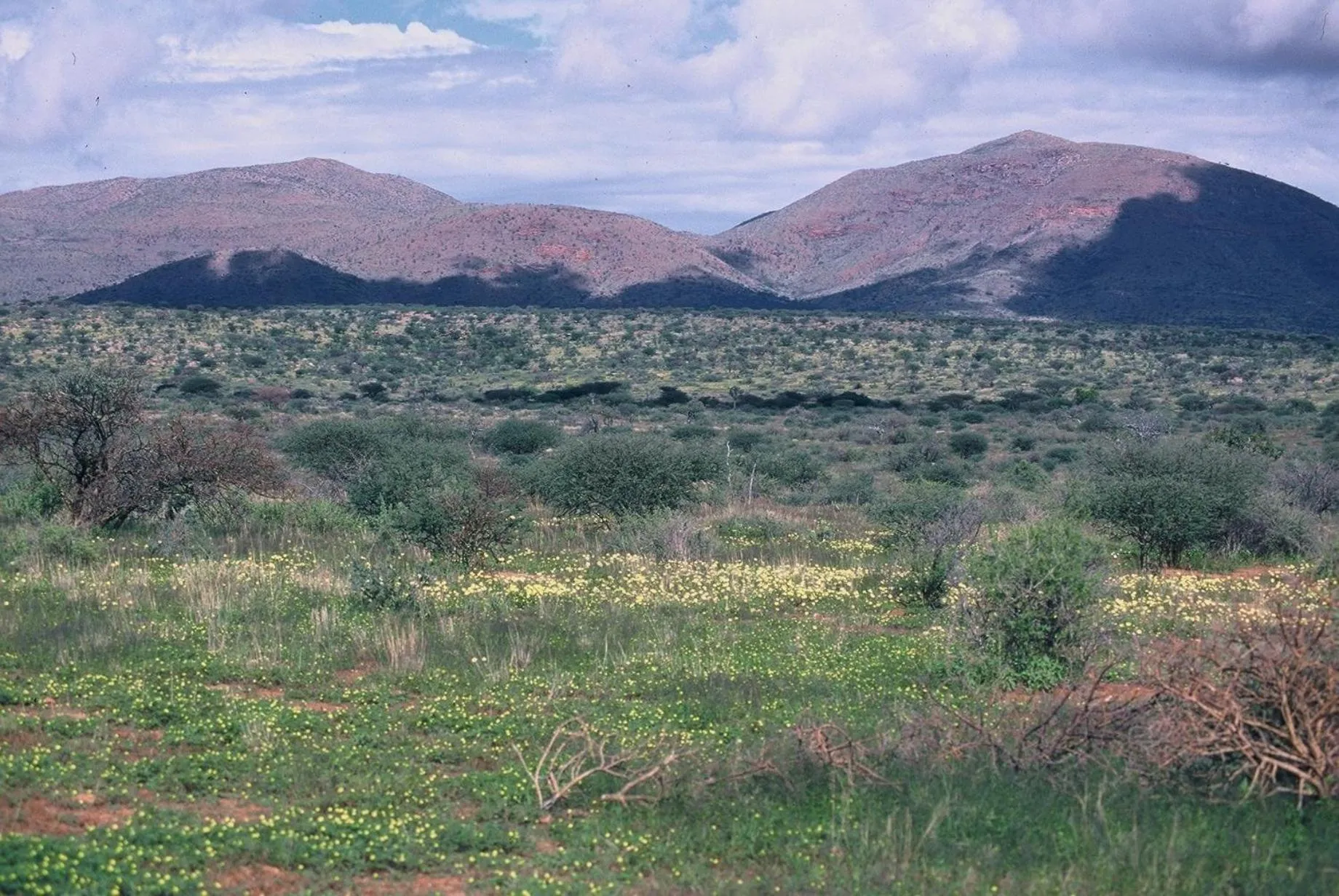Etango Ranch Guest Farm