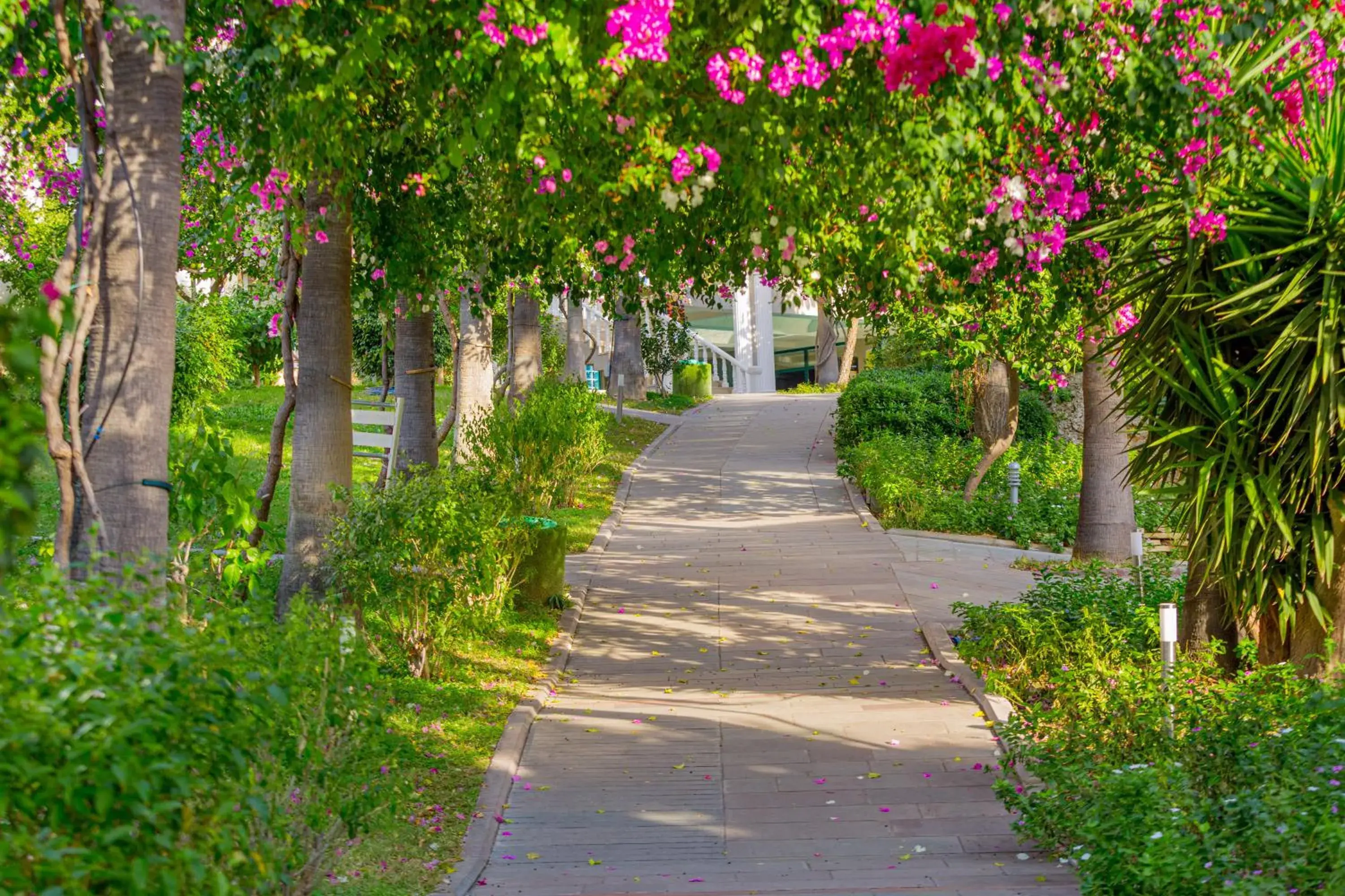 Garden view, Garden in Justiniano Club Alanya