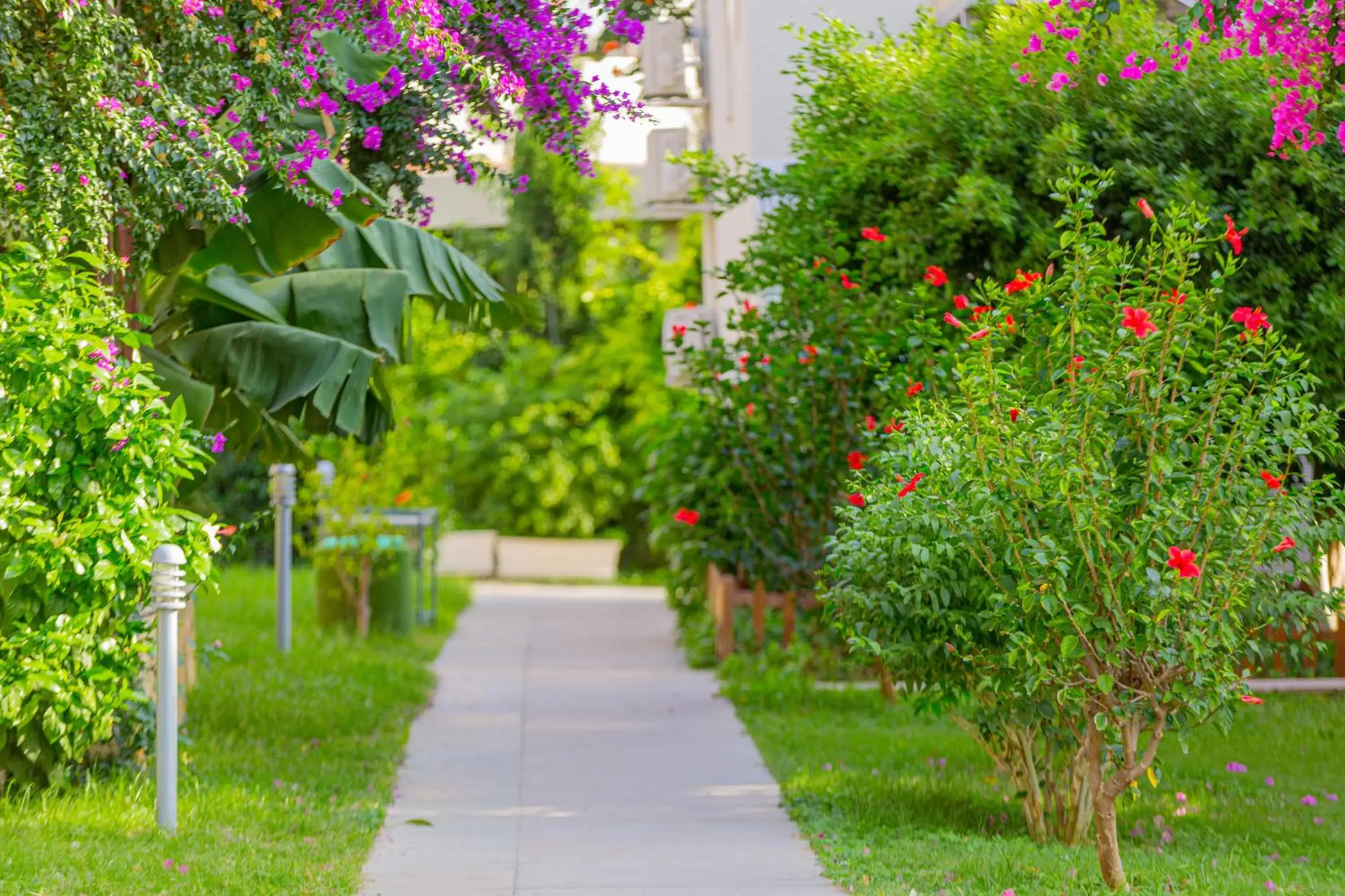 Garden in Justiniano Club Alanya