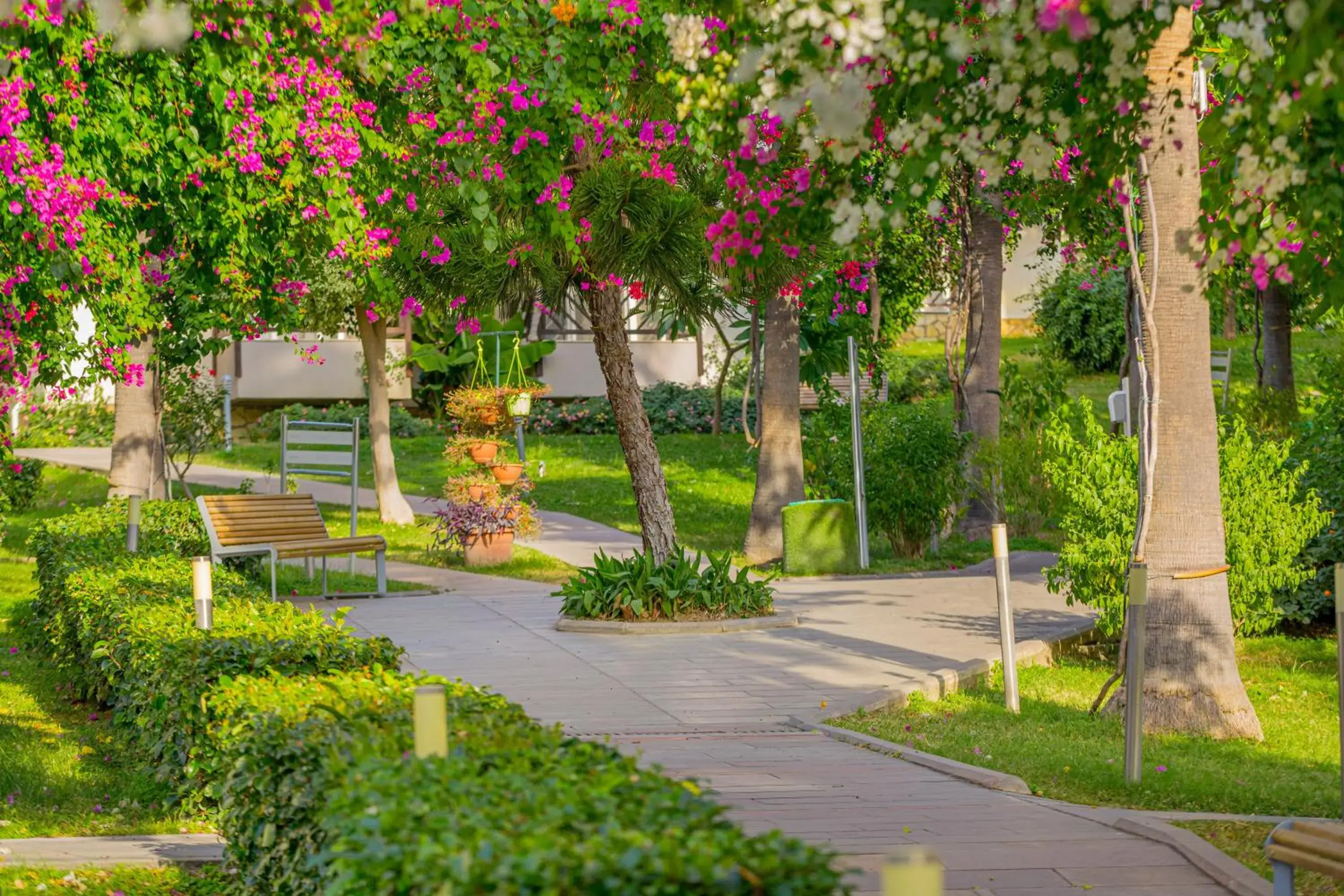 Garden in Justiniano Club Alanya