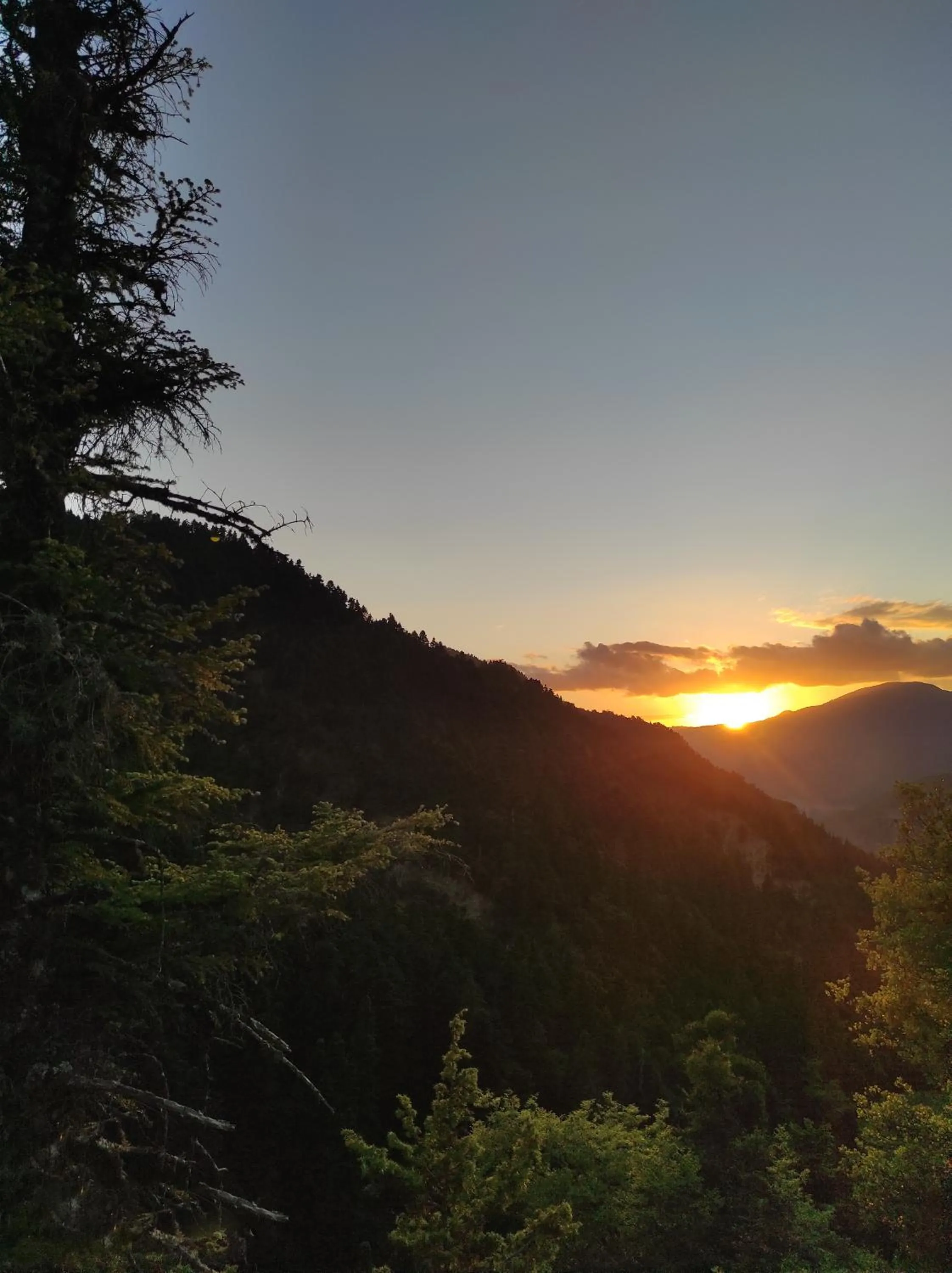 Sunset in Chrysandra