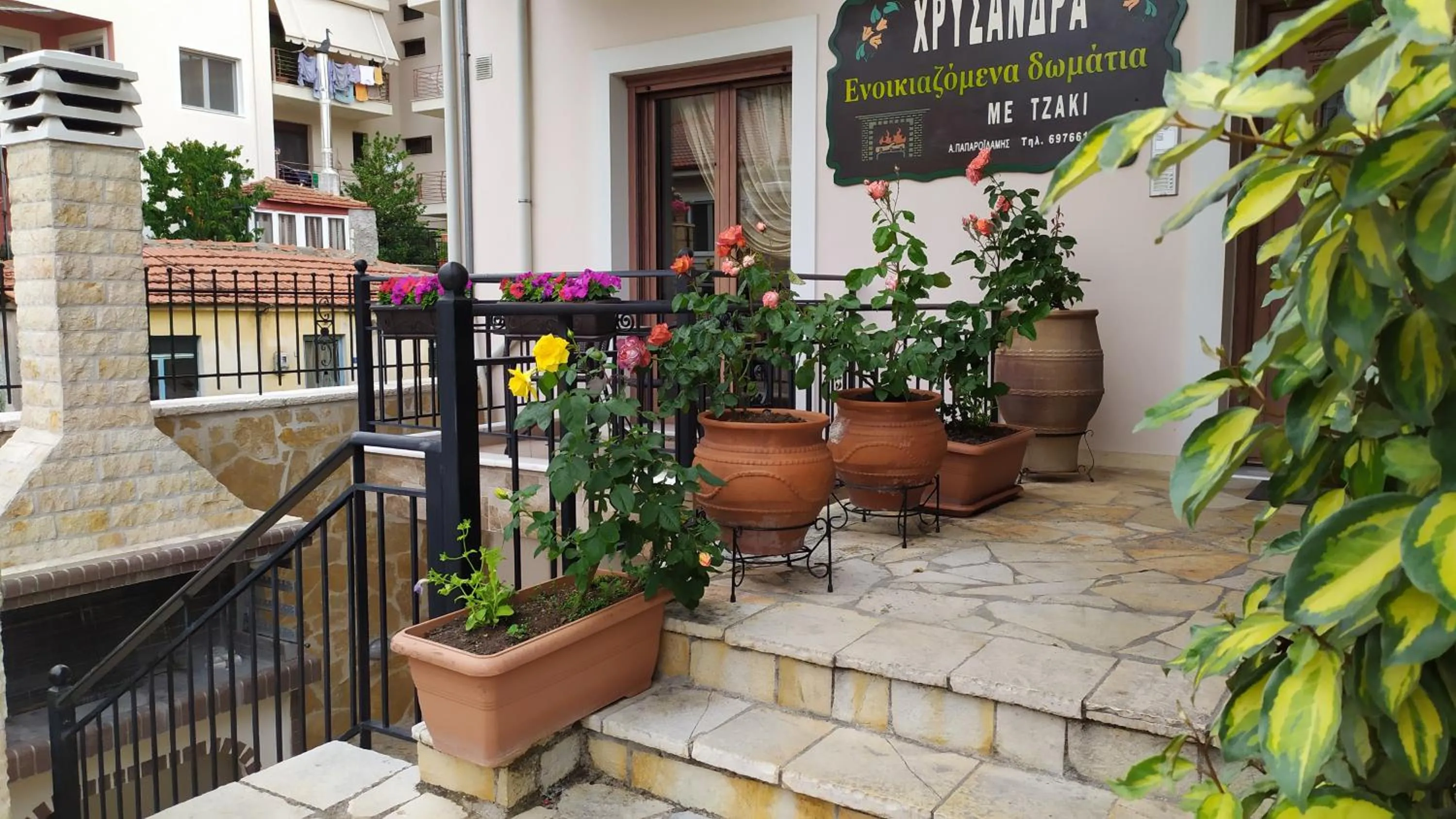 Chrysandra