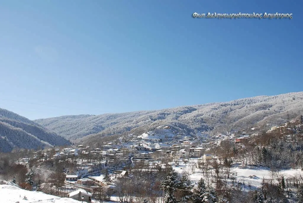 Area and facilities in I Gonia Tis Linas