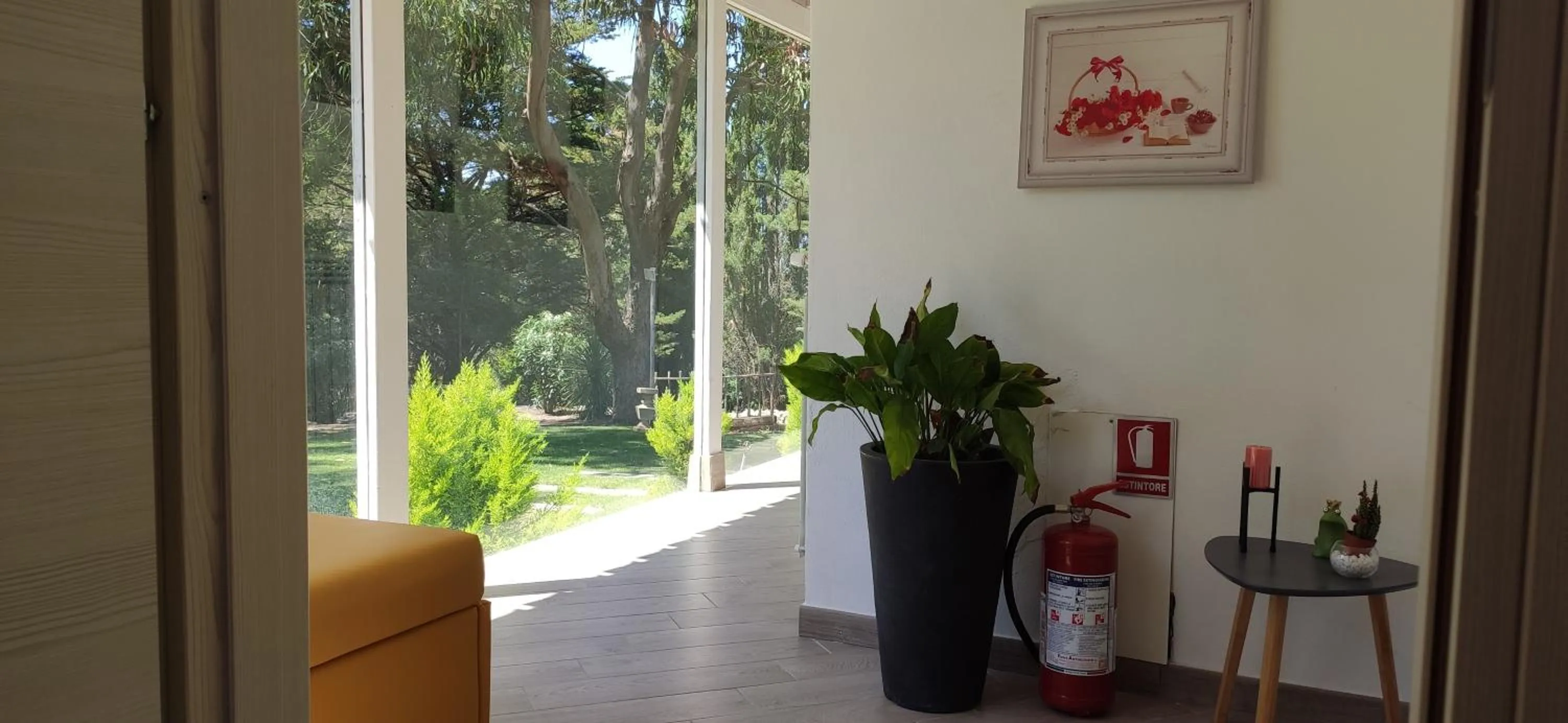 Garden view in Memento