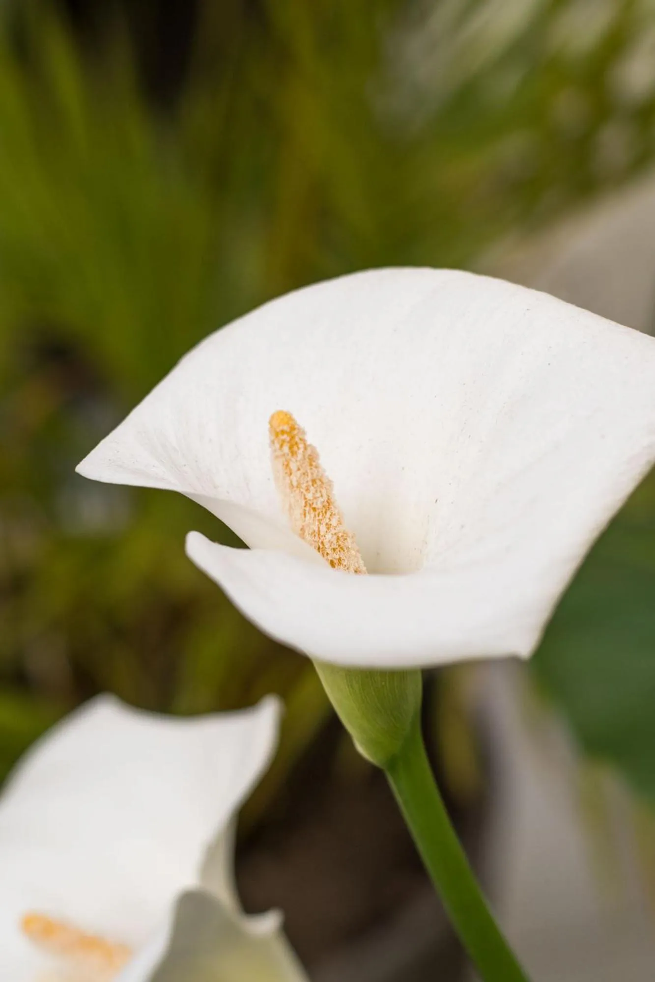 Decorative detail in Magnolia Hotel Boutique