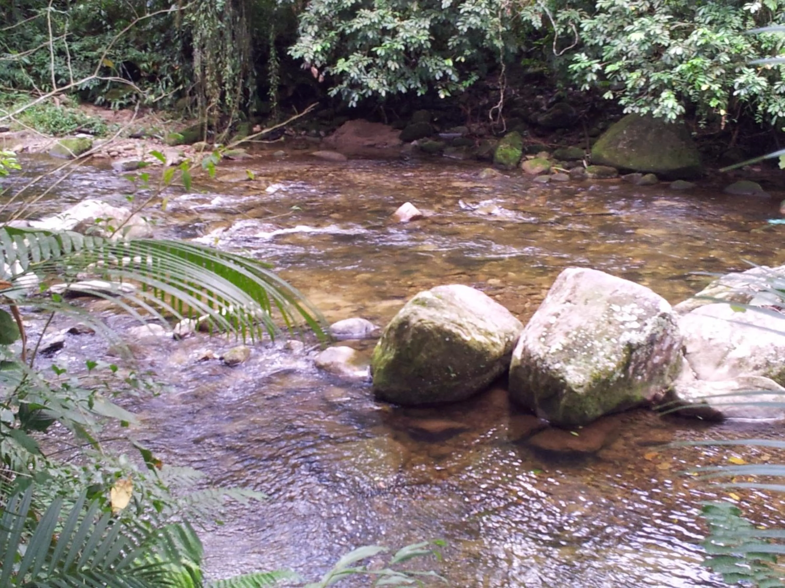 River view in Pousada Rancho Texas Ubatuba