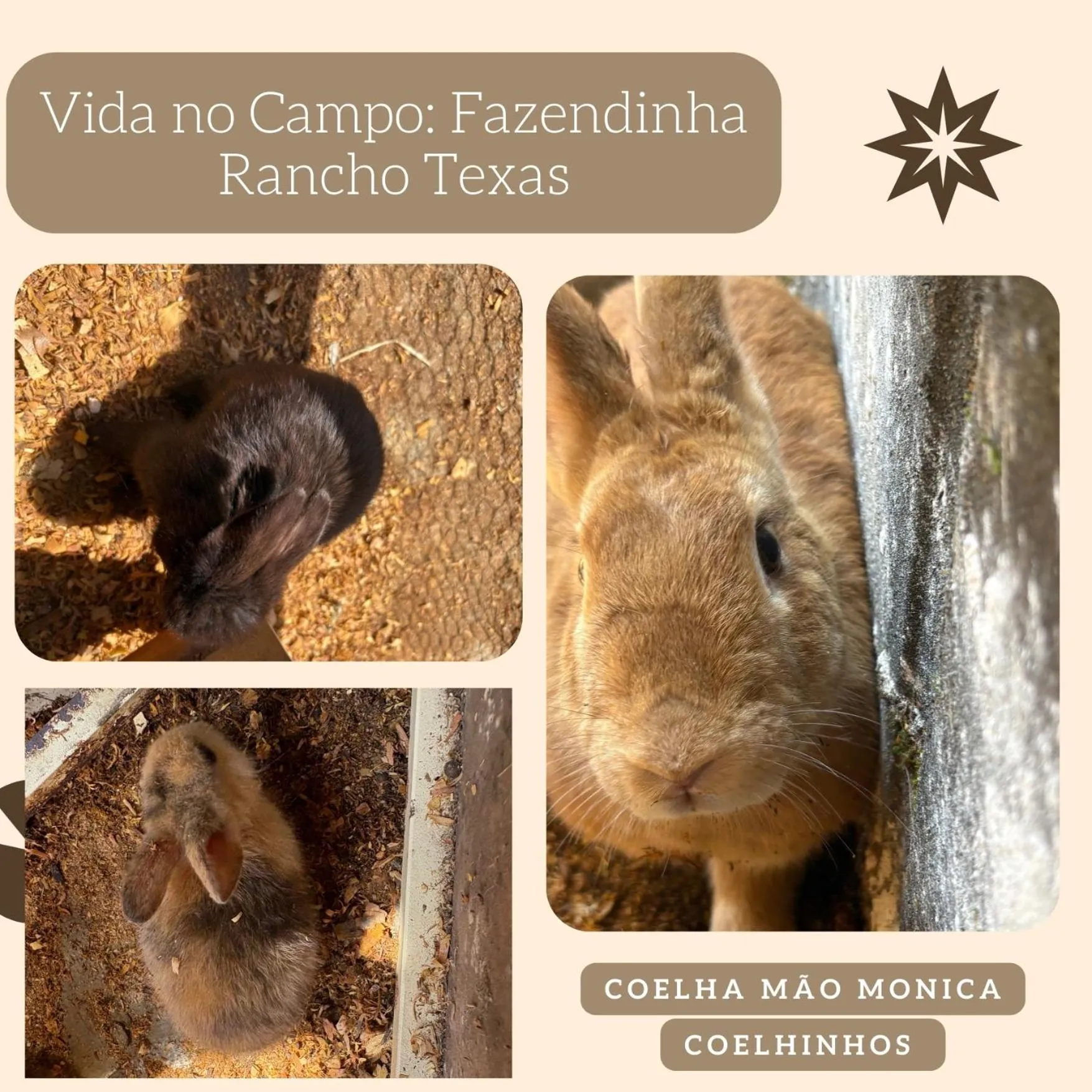 Pousada Rancho Texas Ubatuba
