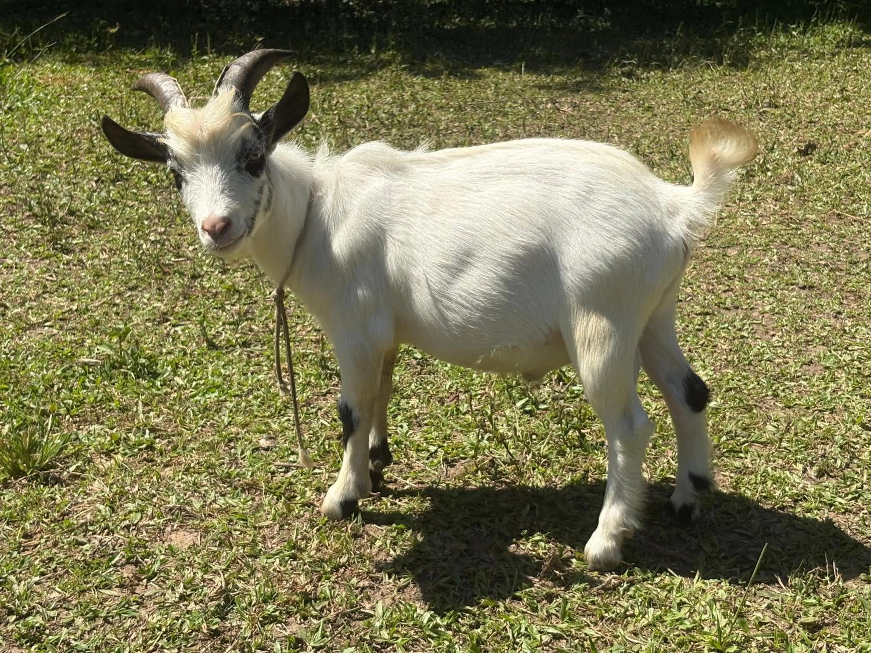 Pousada Rancho Texas Ubatuba
