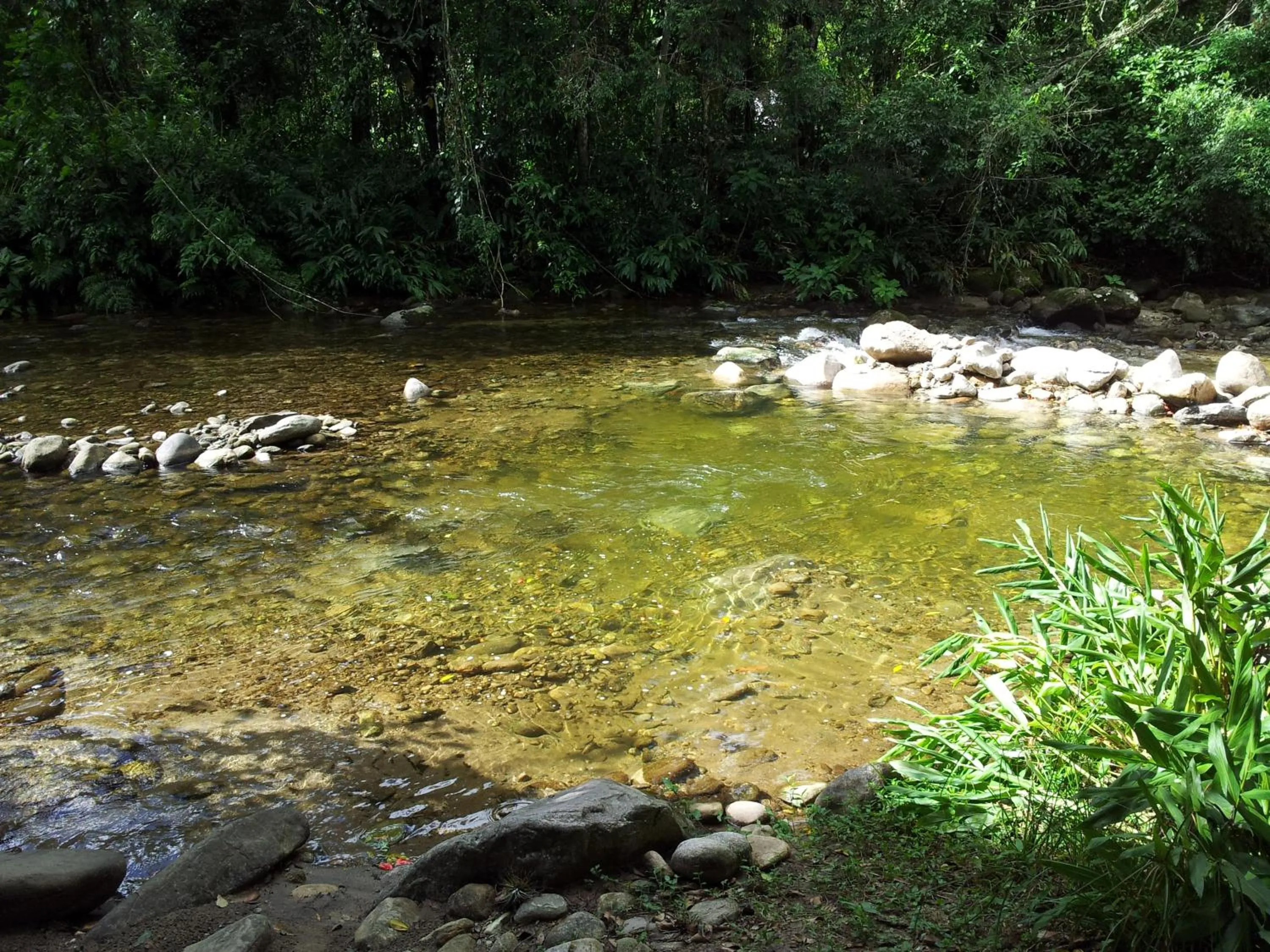 River view in Pousada Rancho Texas Ubatuba
