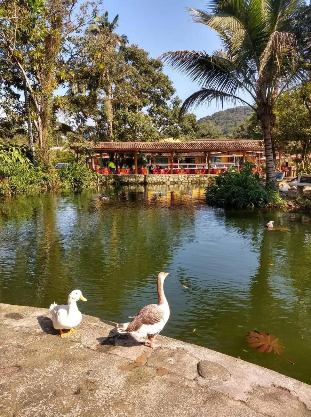 Animals in Pousada Rancho Texas Ubatuba