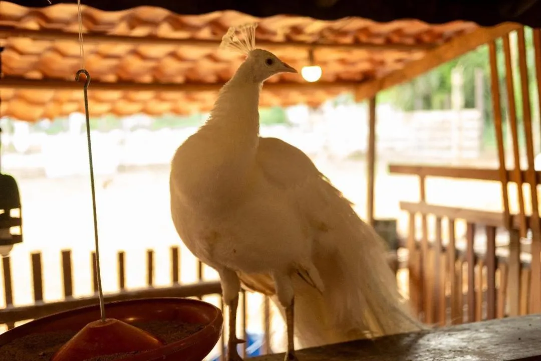 Pousada Rancho Texas Ubatuba