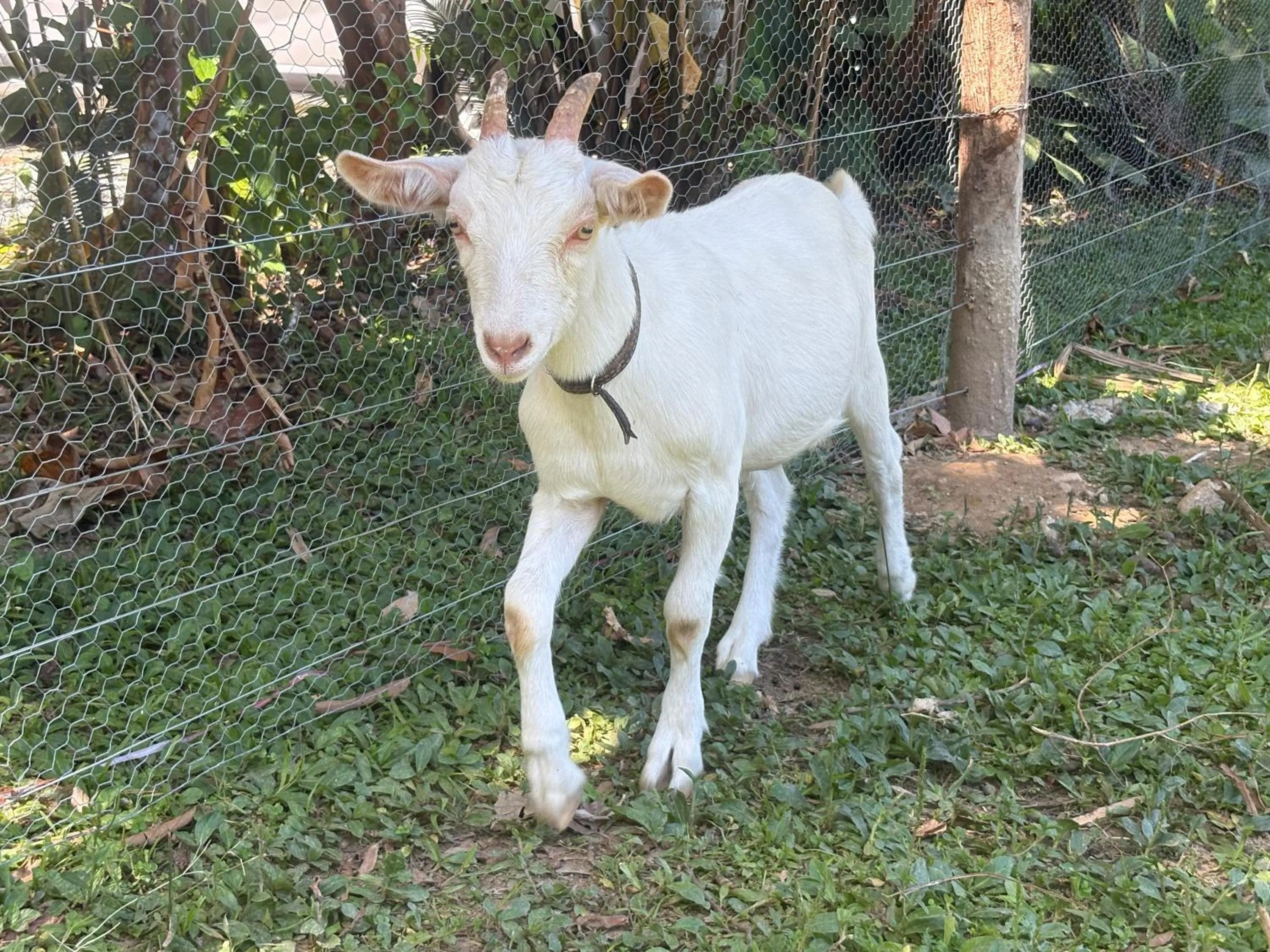 Pousada Rancho Texas Ubatuba