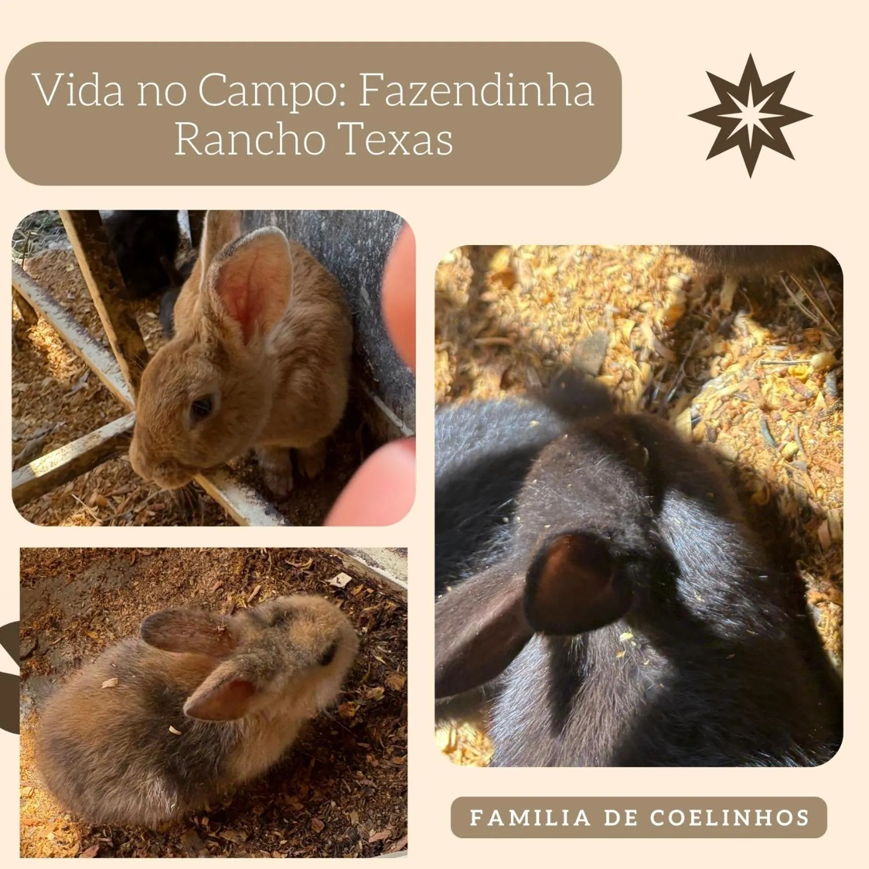 Pousada Rancho Texas Ubatuba