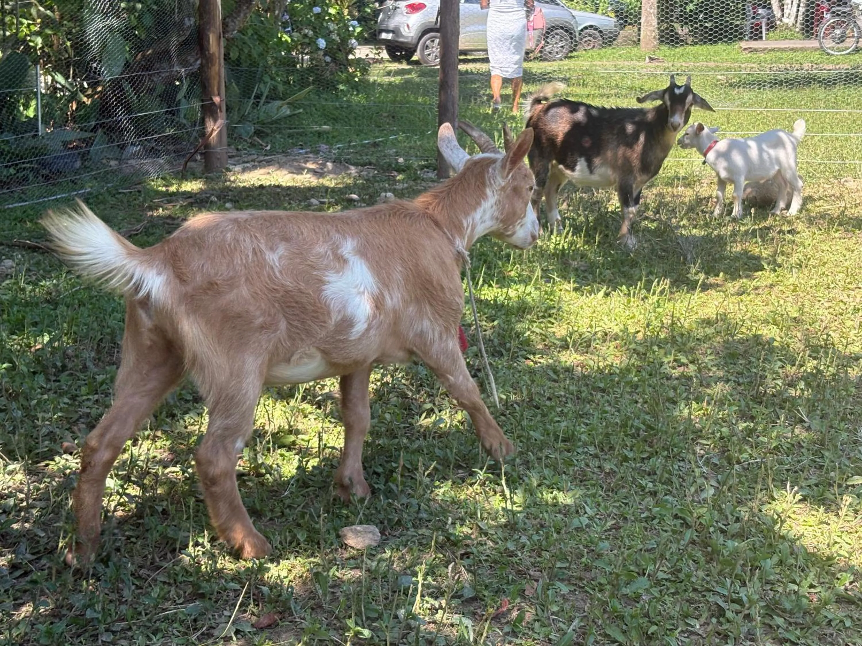 Pousada Rancho Texas Ubatuba