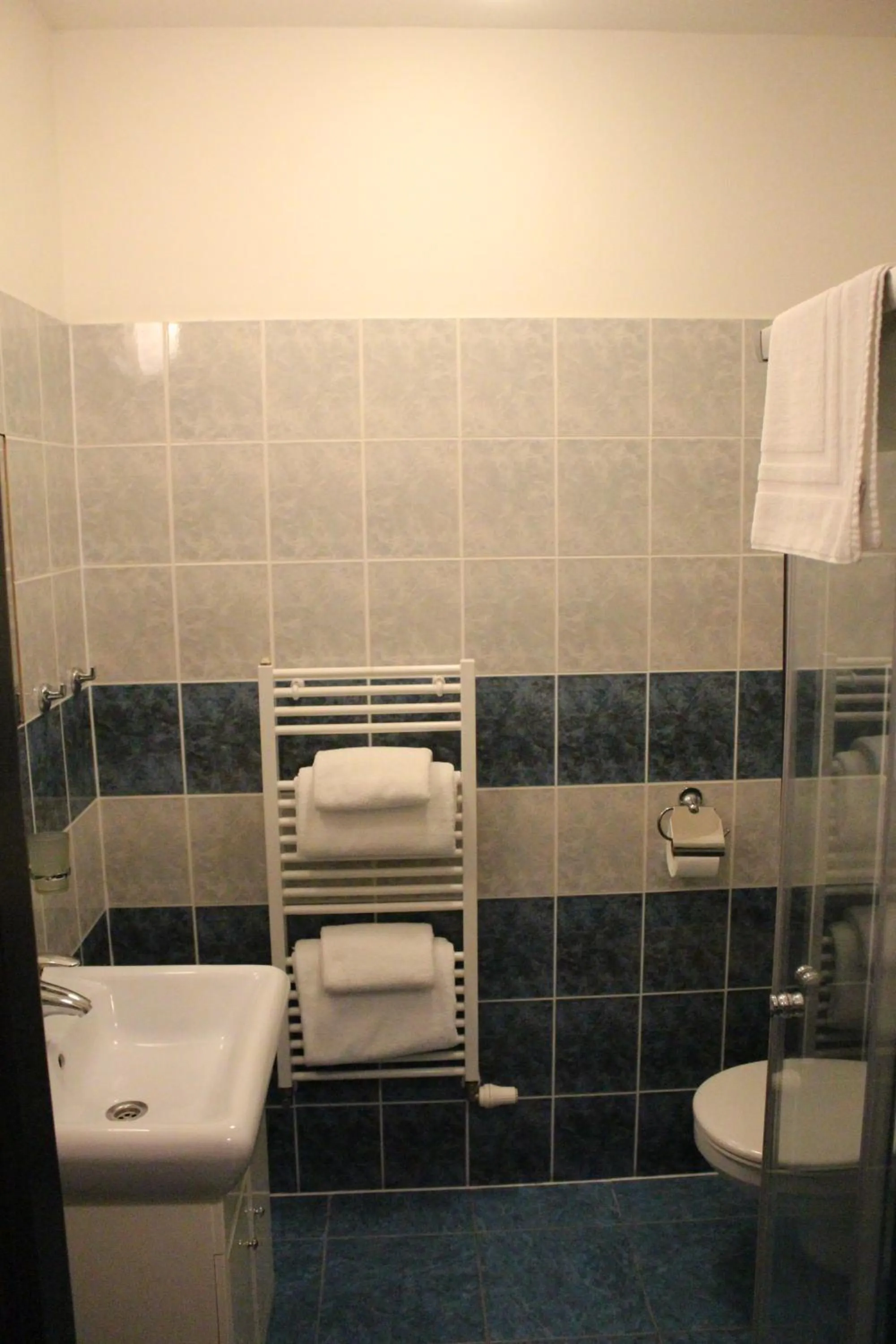 Shower in Hotel Palác