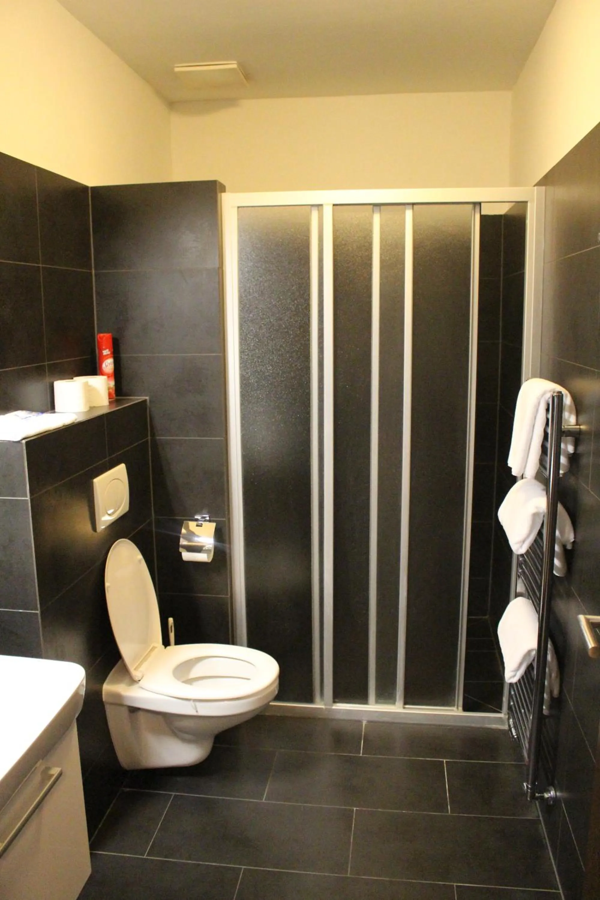 Toilet in Hotel Palác