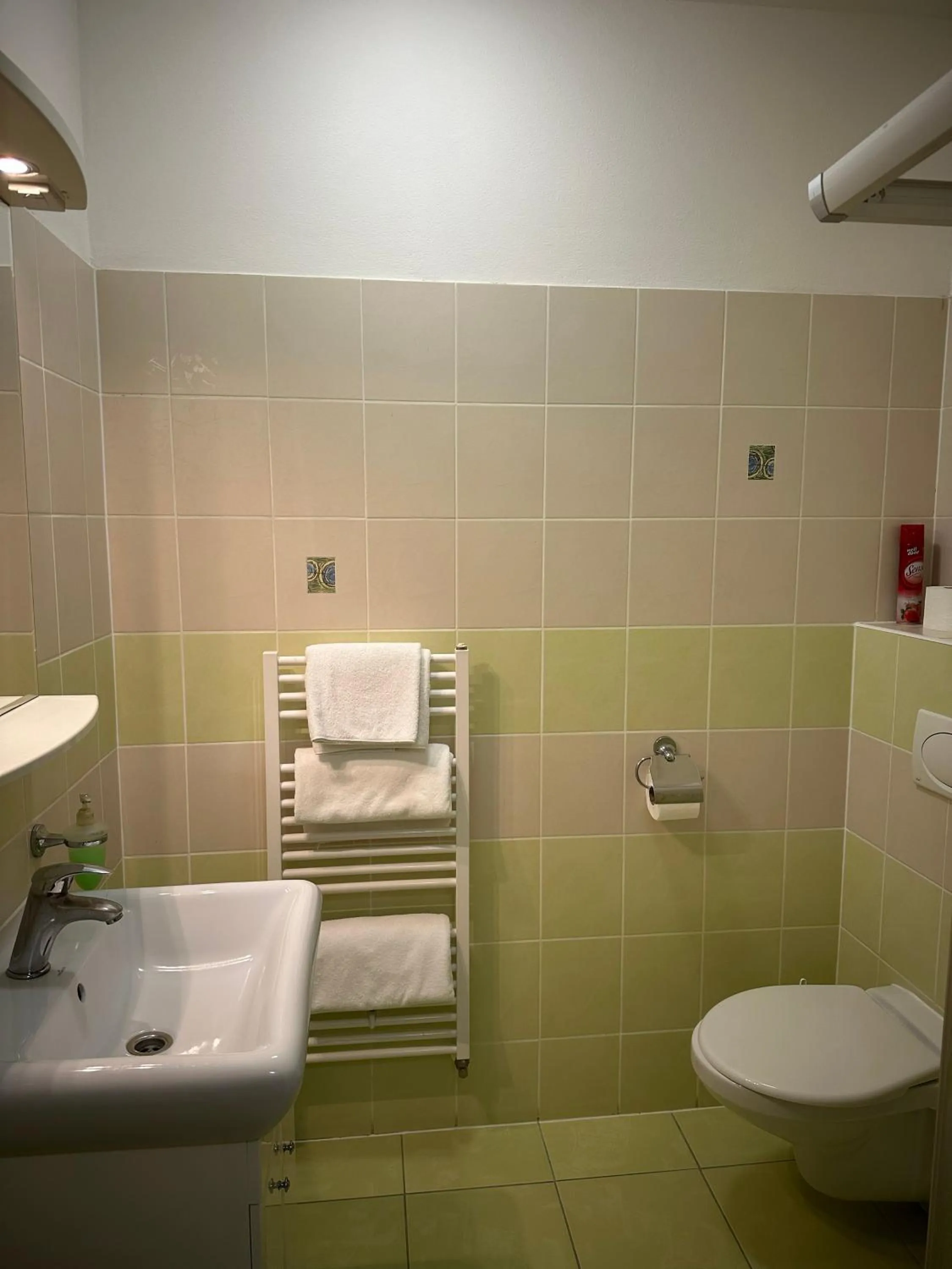 Toilet in Hotel Palác