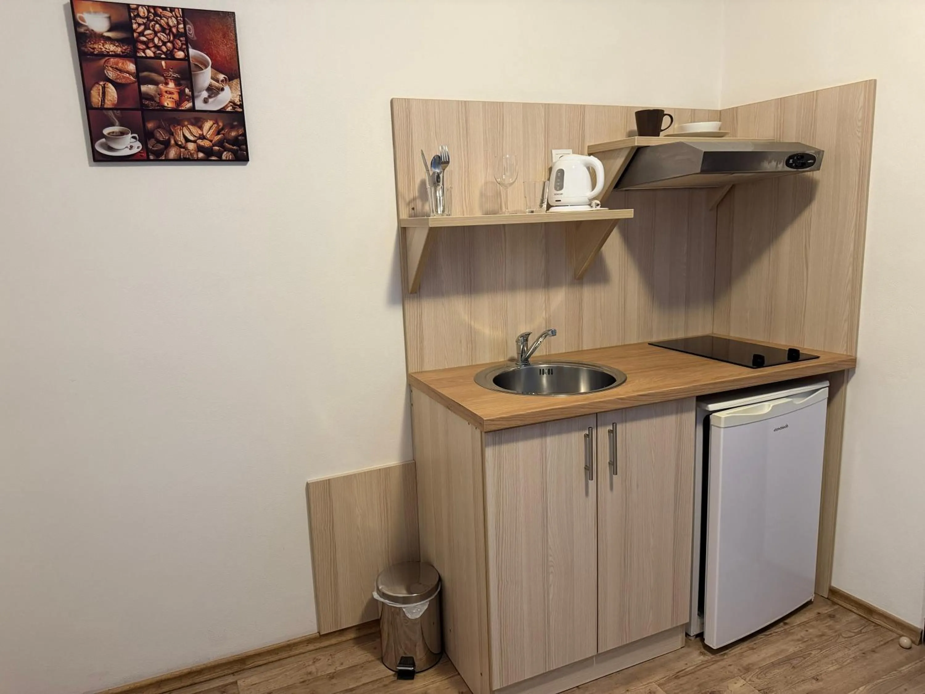 Kitchen or kitchenette in Hotel Palác