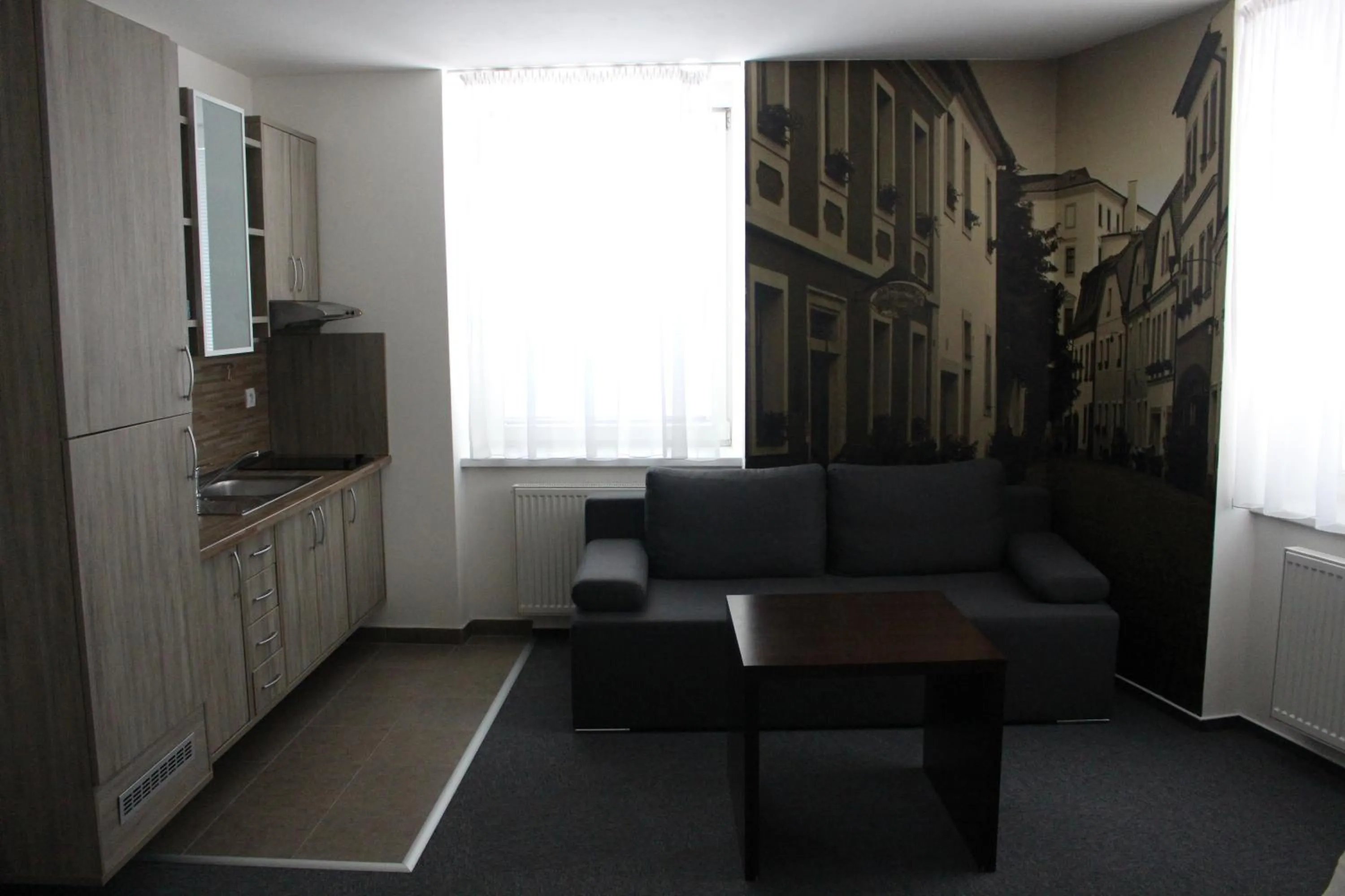 Kitchen or kitchenette in Hotel Palác