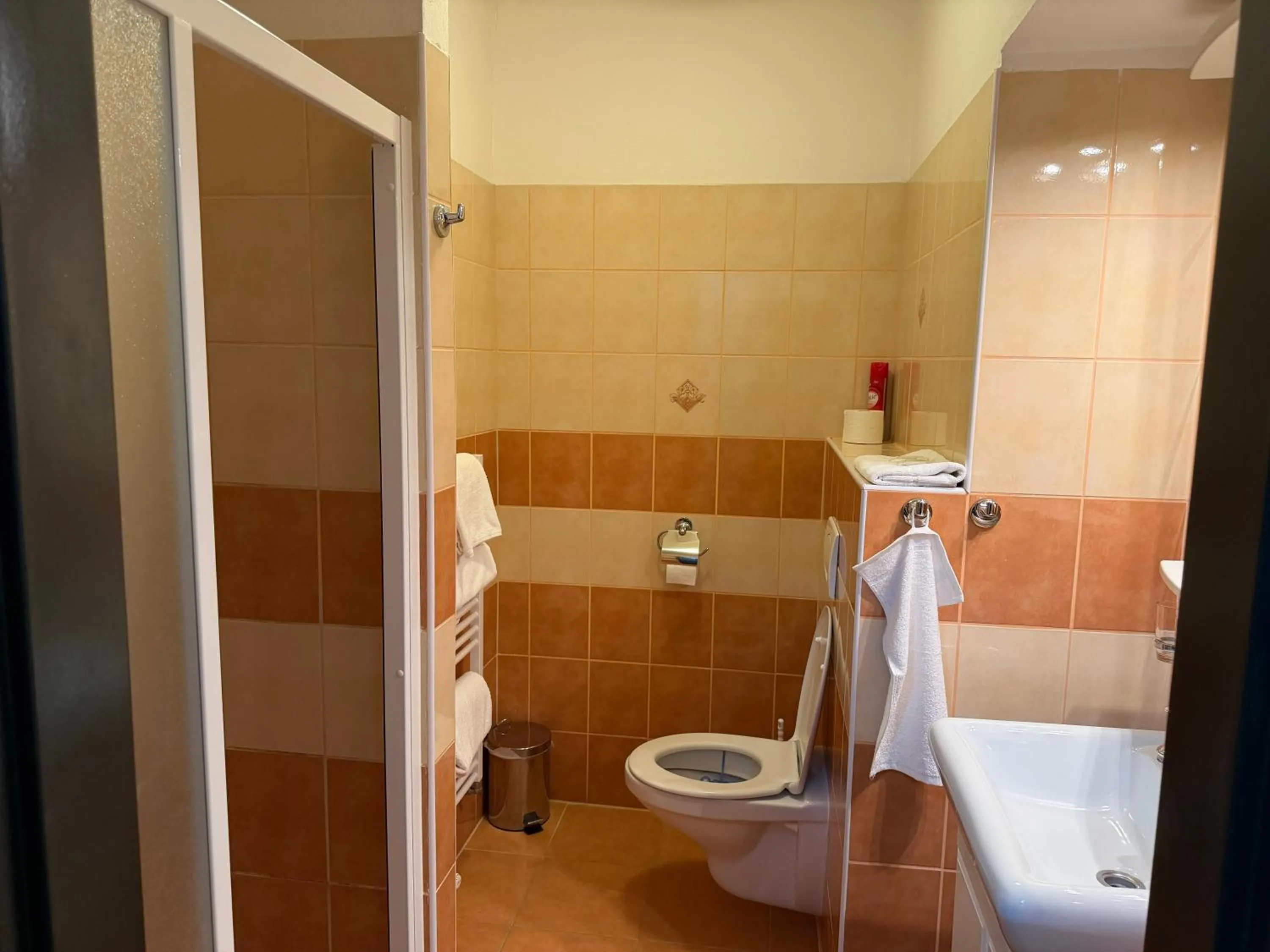 Shower in Hotel Palác