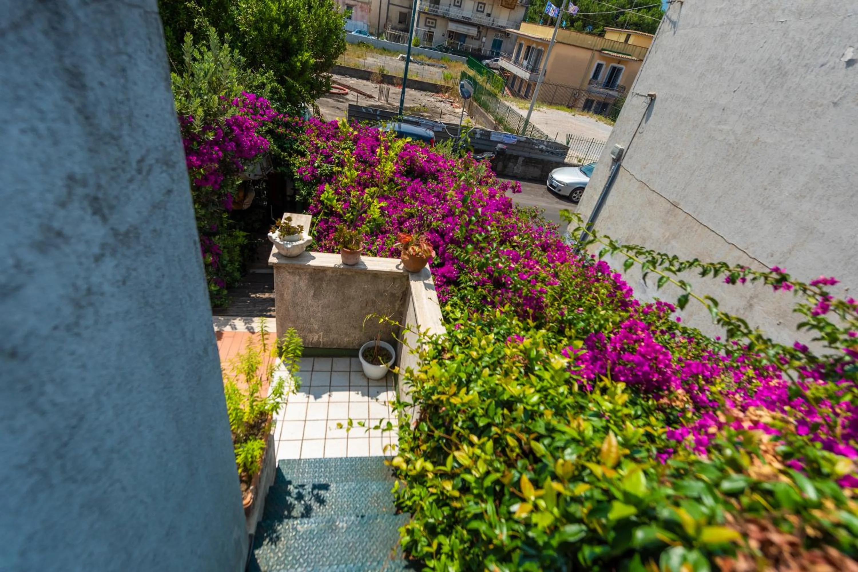 Property building in Terra Mia