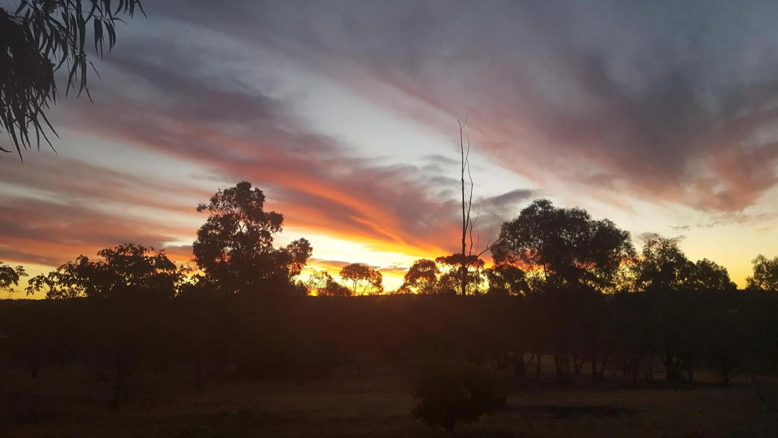 Winter in York's Lookout Lodge Bed And Breakfast