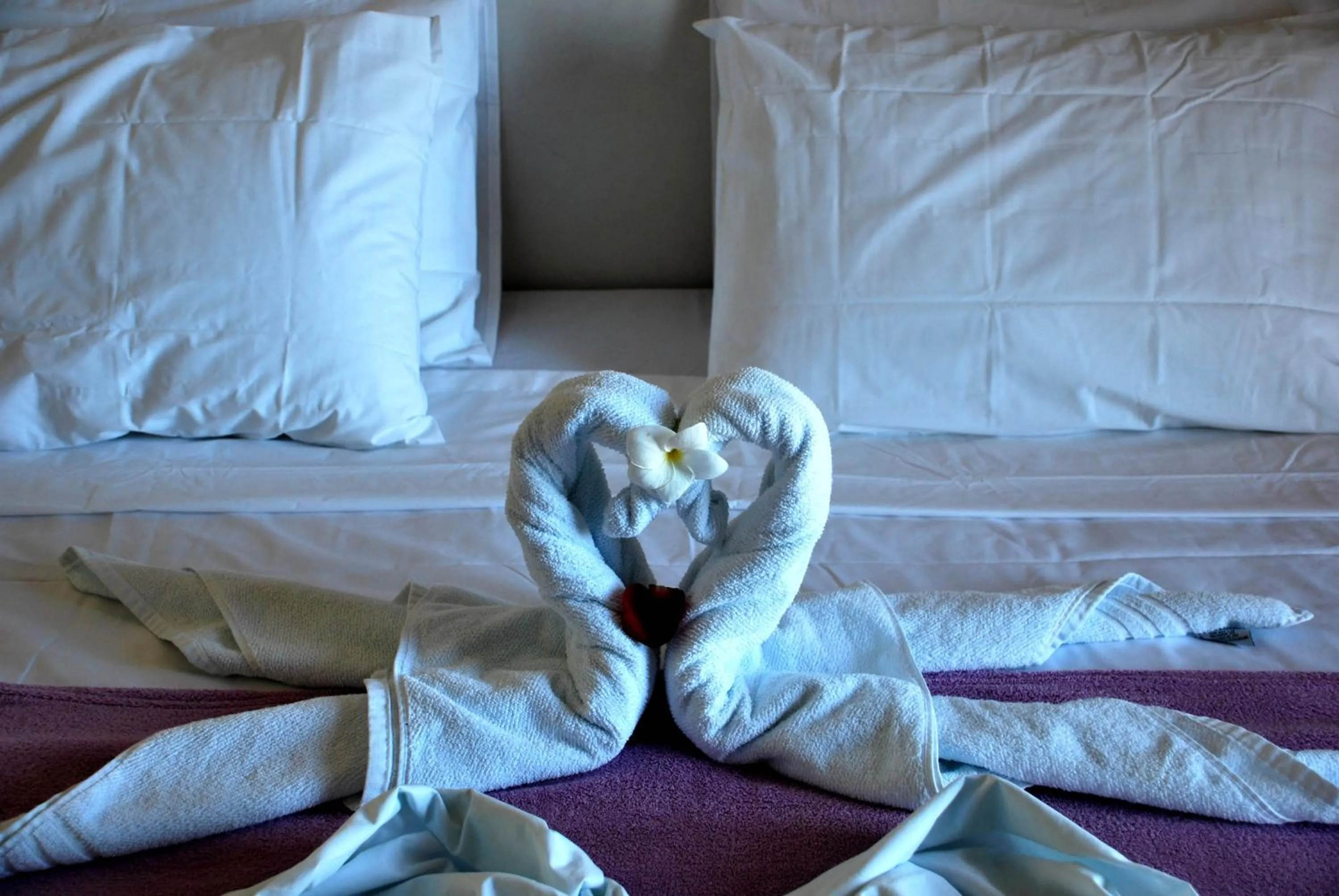Decorative detail, Bed in Pousada Tartaruga