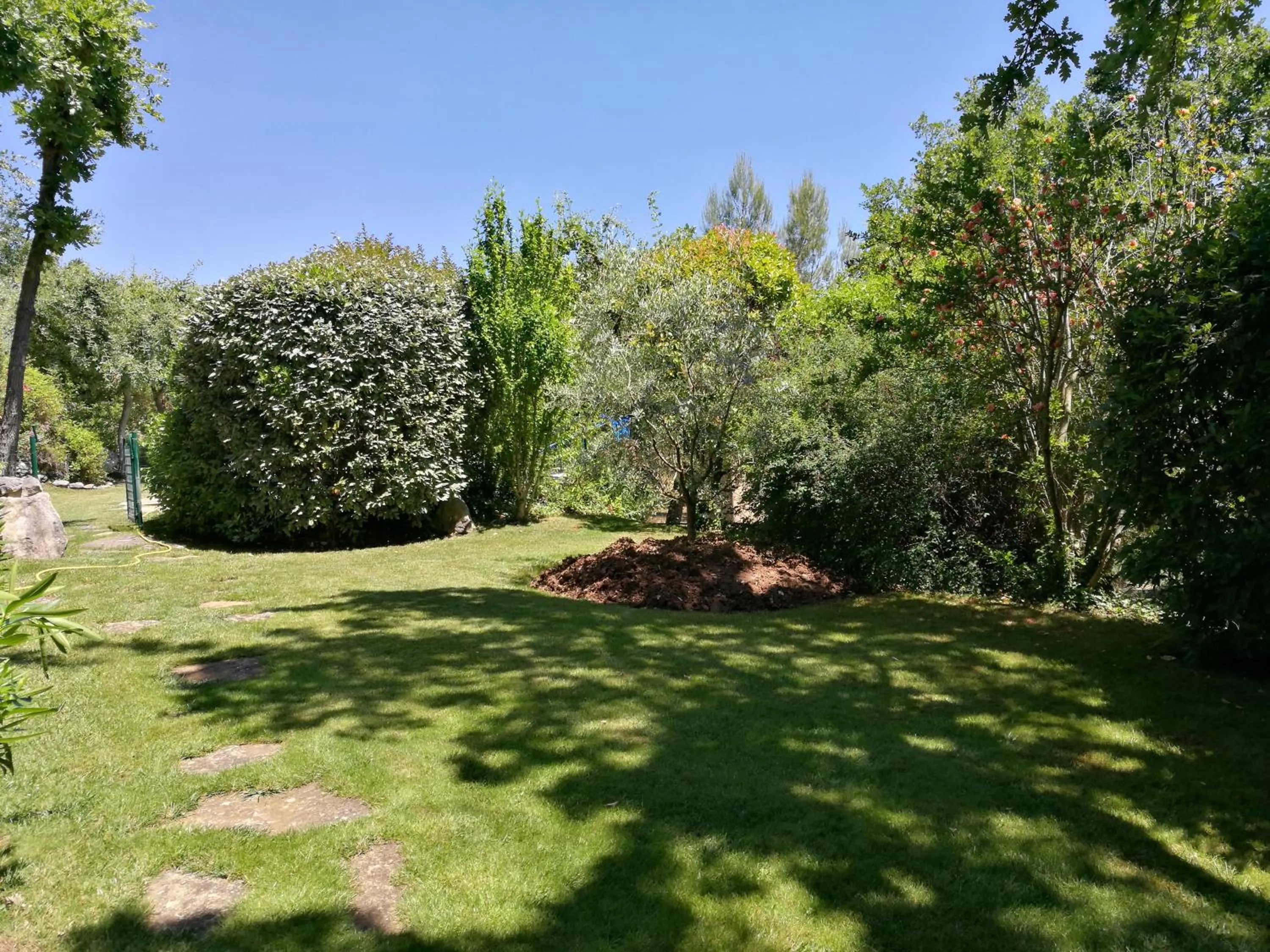 Garden in Les Restanques
