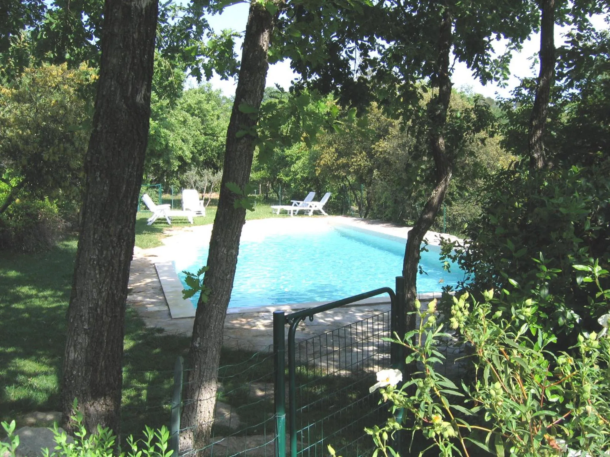 Swimming pool in Les Restanques
