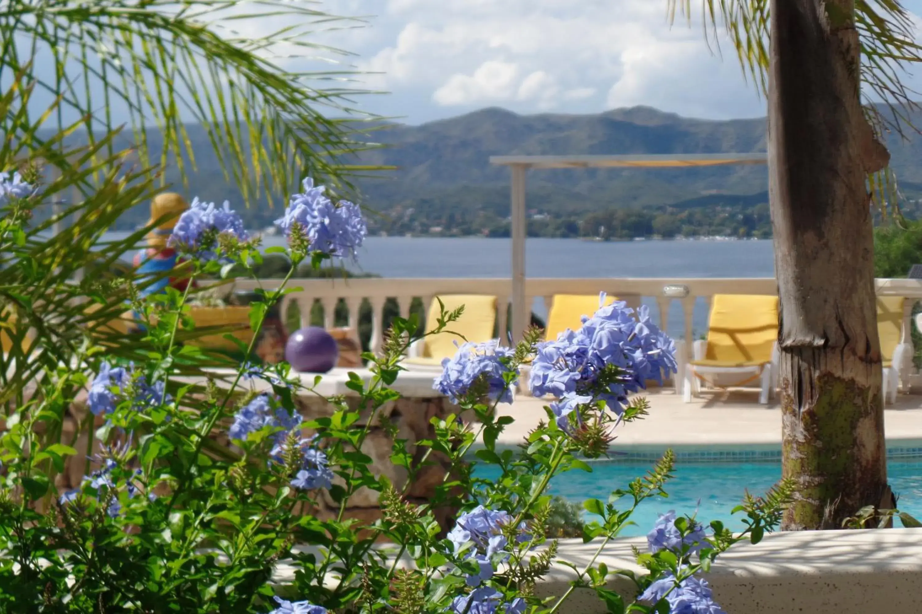 Garden, Pool View in Villa La Font Apart Hotel & Spa