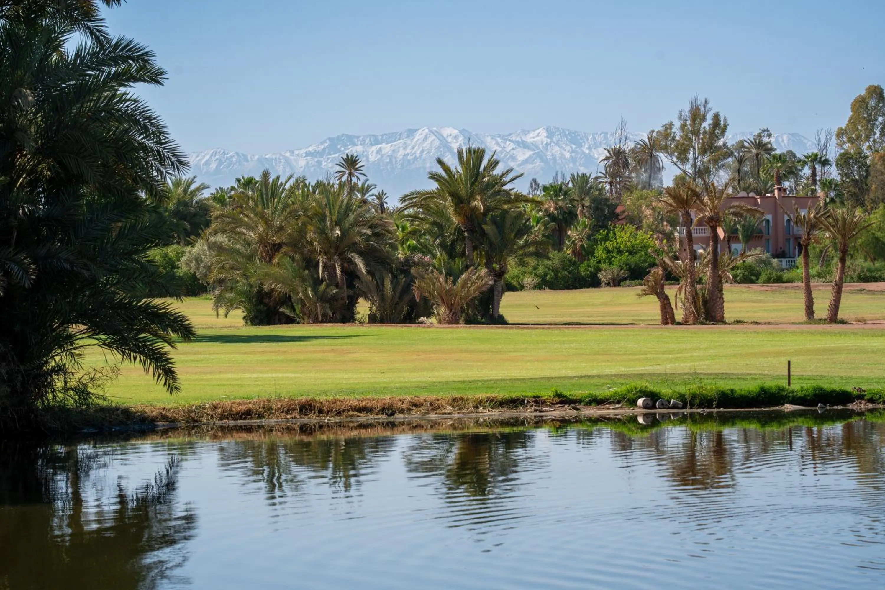 Golfcourse in Pickalbatros Hôtel Du Golf - Adults Friendly 16 Years Plus- All-Inclusive
