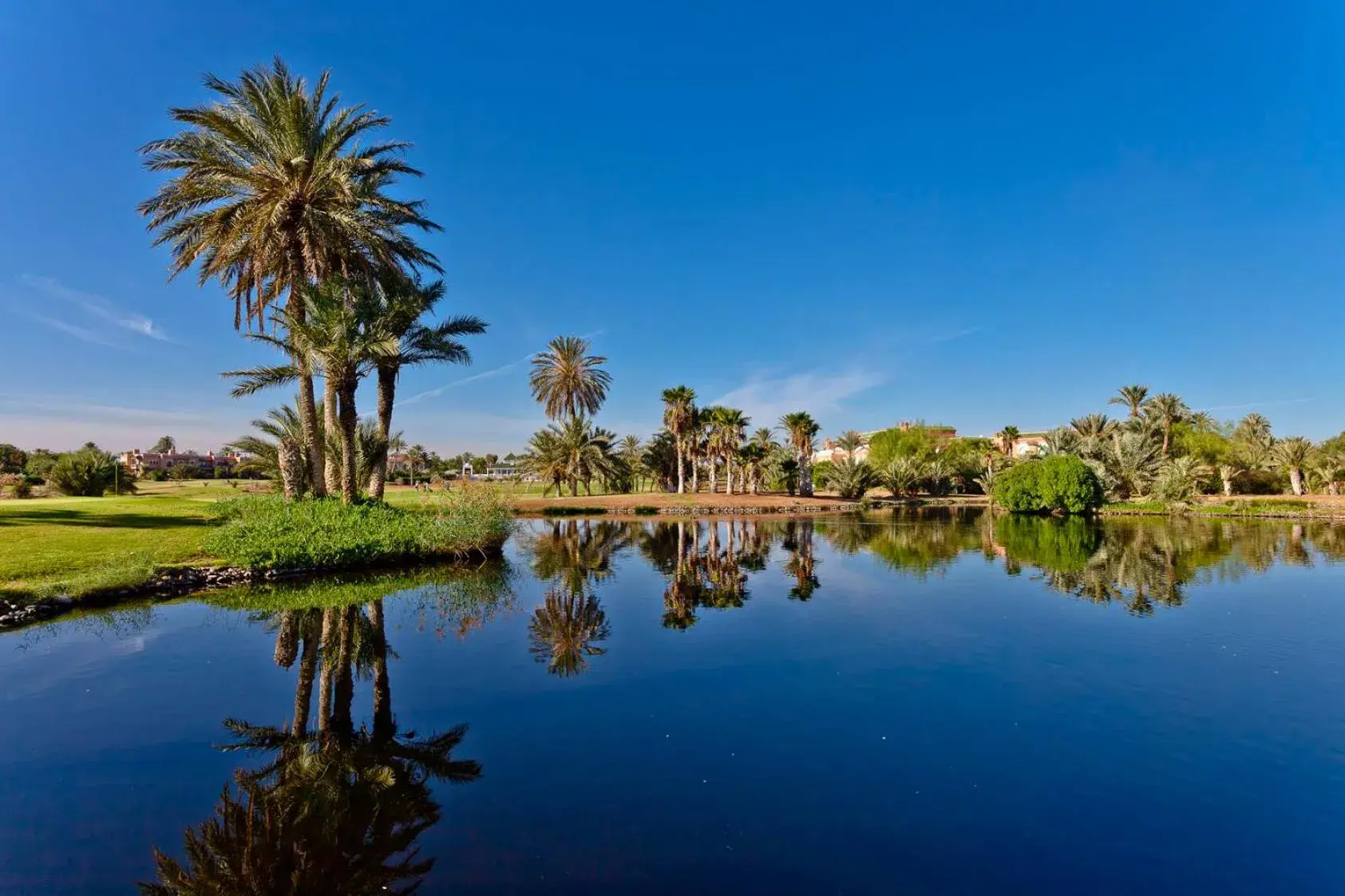 Lake view in Pickalbatros Hôtel Du Golf - Adults Friendly 16 Years Plus- All-Inclusive Lake view in Pickalbatros Hôtel Du Golf - Adults Friendly 16 Years Plus- All-Inclusive