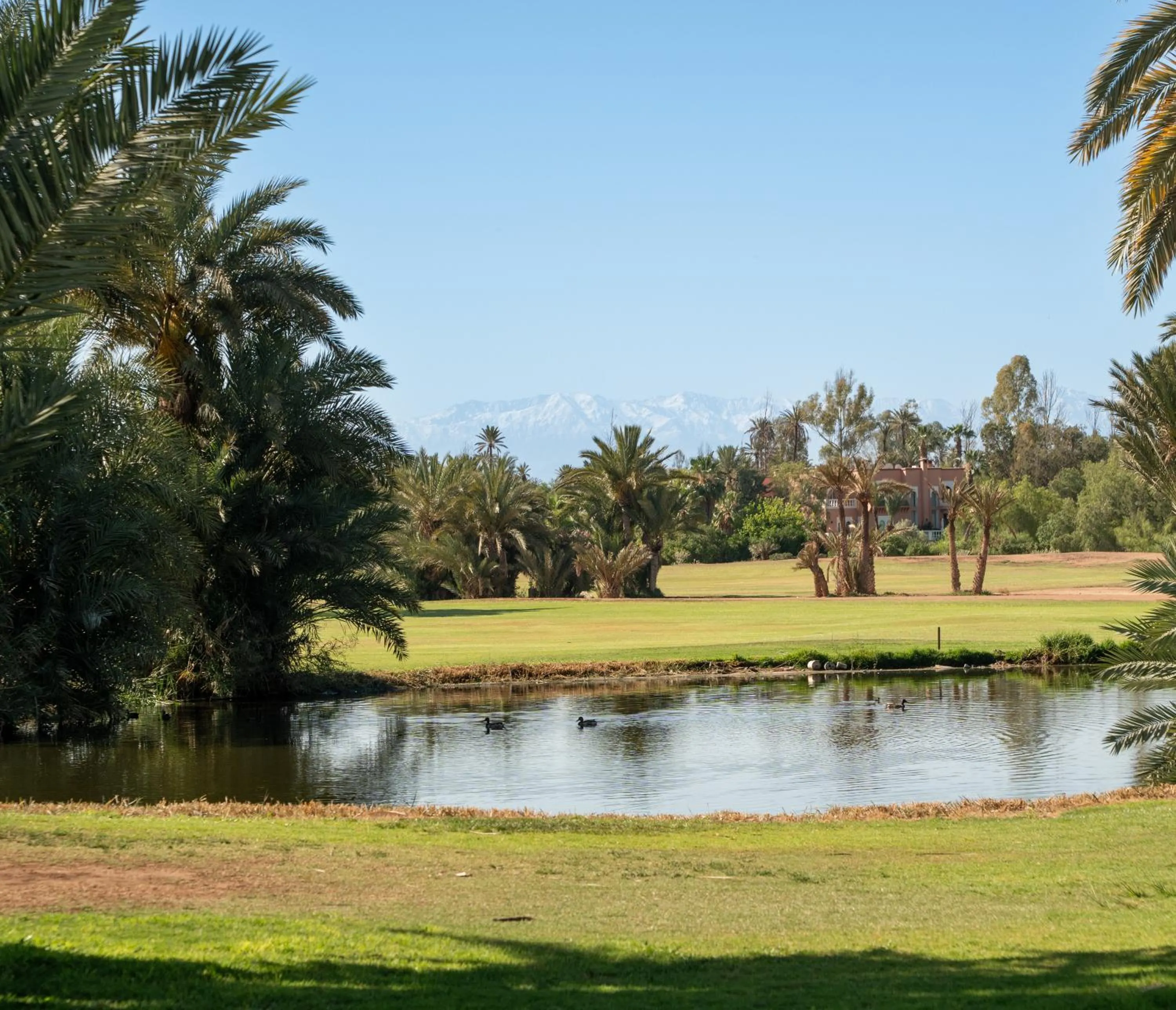 Golfcourse in Pickalbatros Hôtel Du Golf - Adults Friendly 16 Years Plus- All-Inclusive