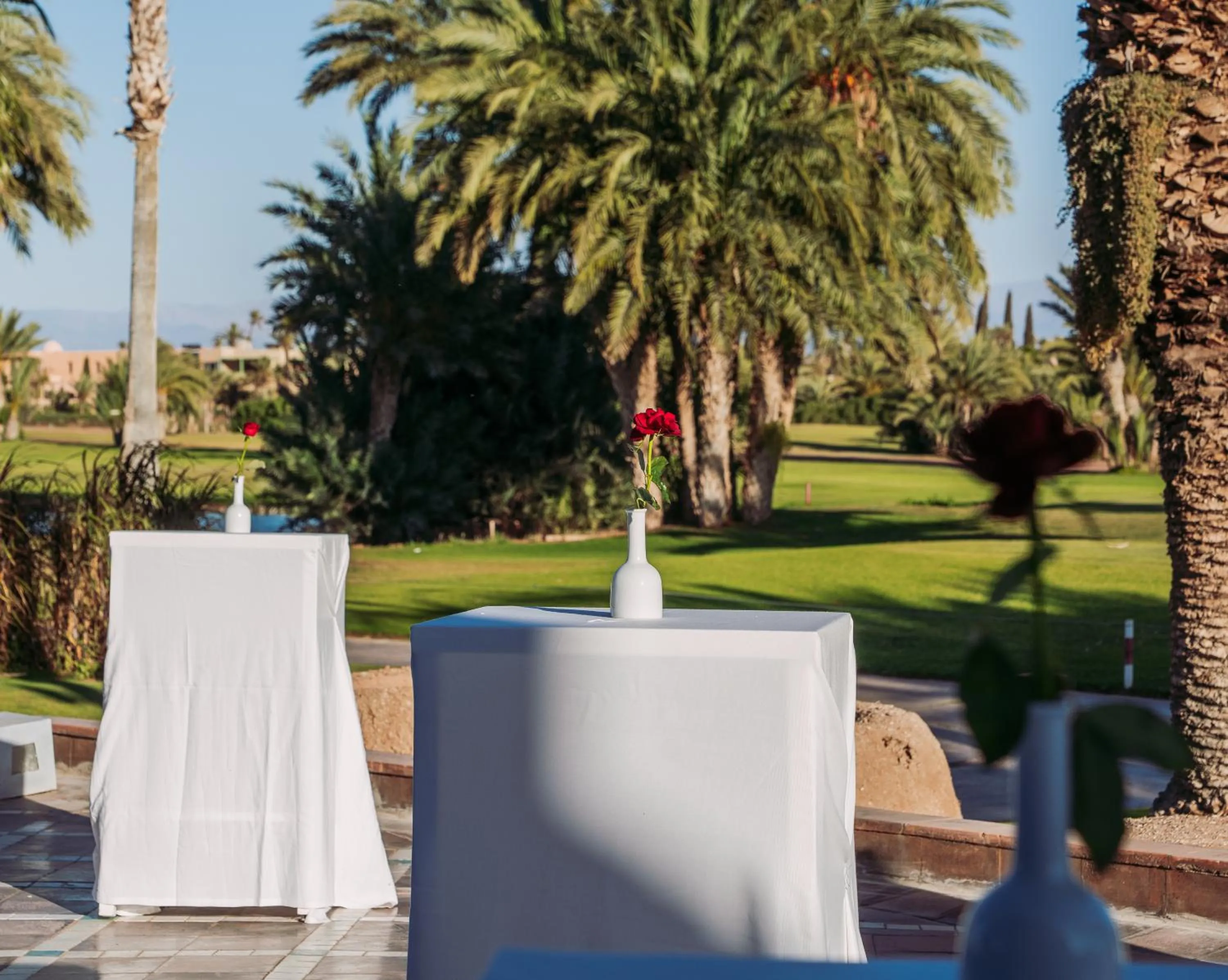 Day in Pickalbatros Hôtel Du Golf - Adults Friendly 16 Years Plus- All-Inclusive