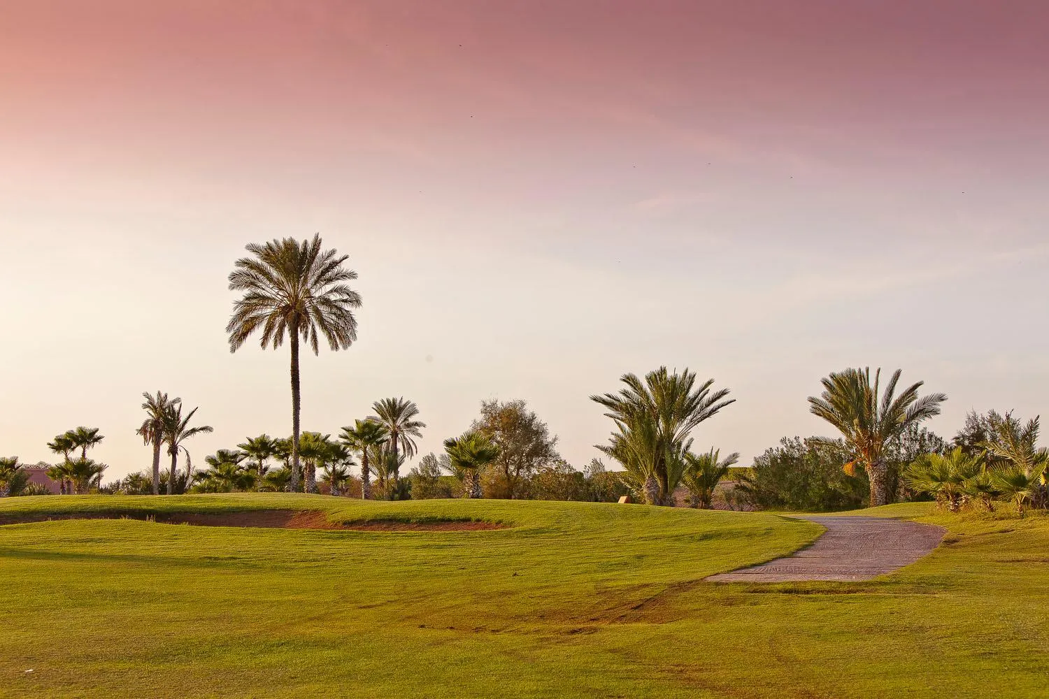 Golfcourse in Pickalbatros Hôtel Du Golf - Adults Friendly 16 Years Plus- All-Inclusive