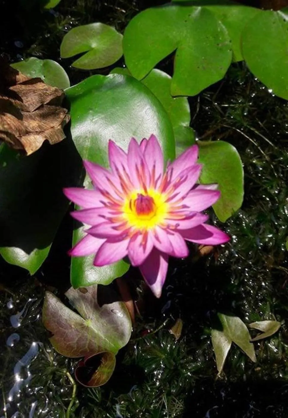 NorthLands House Hotel